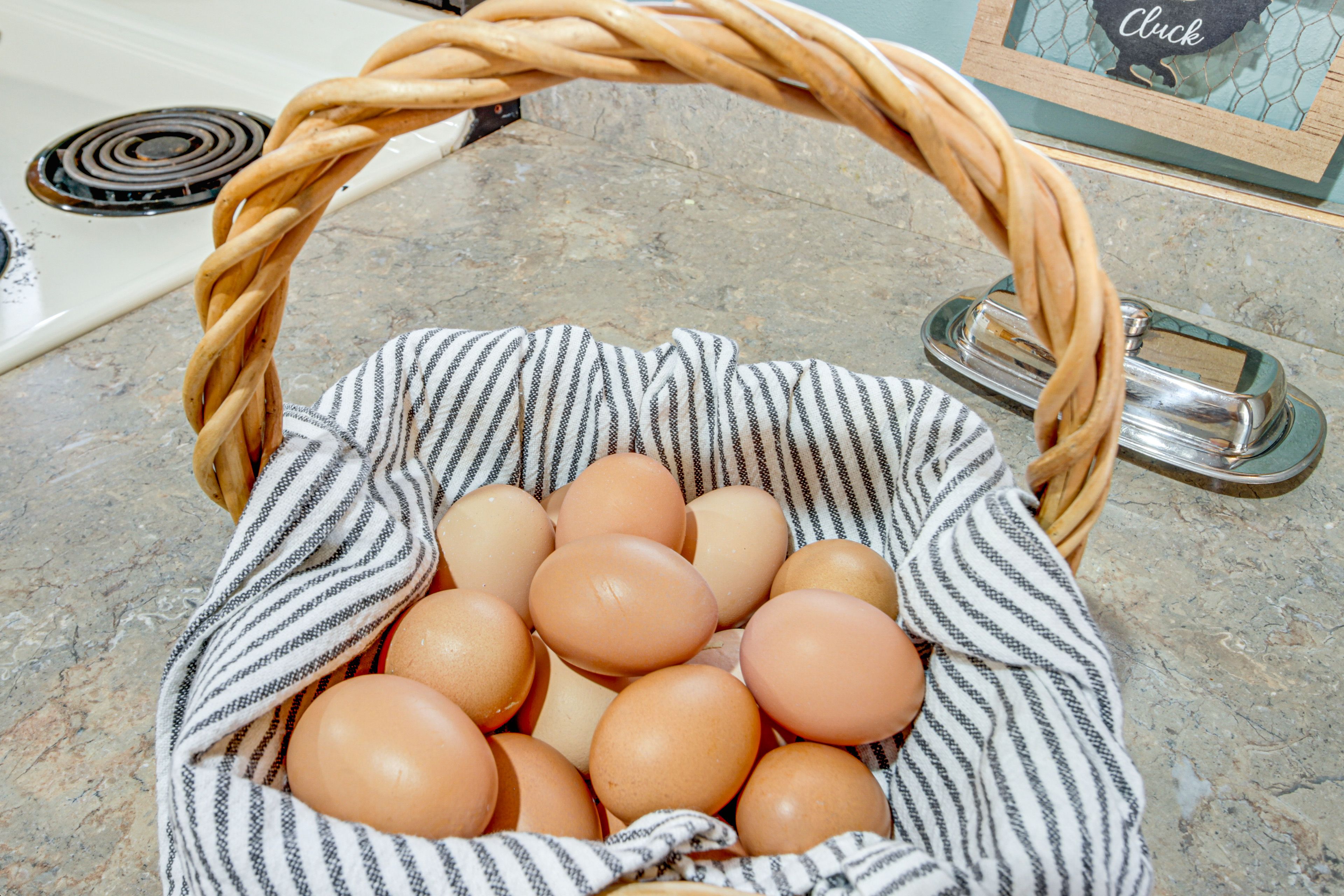 Chicken Eggs Provided