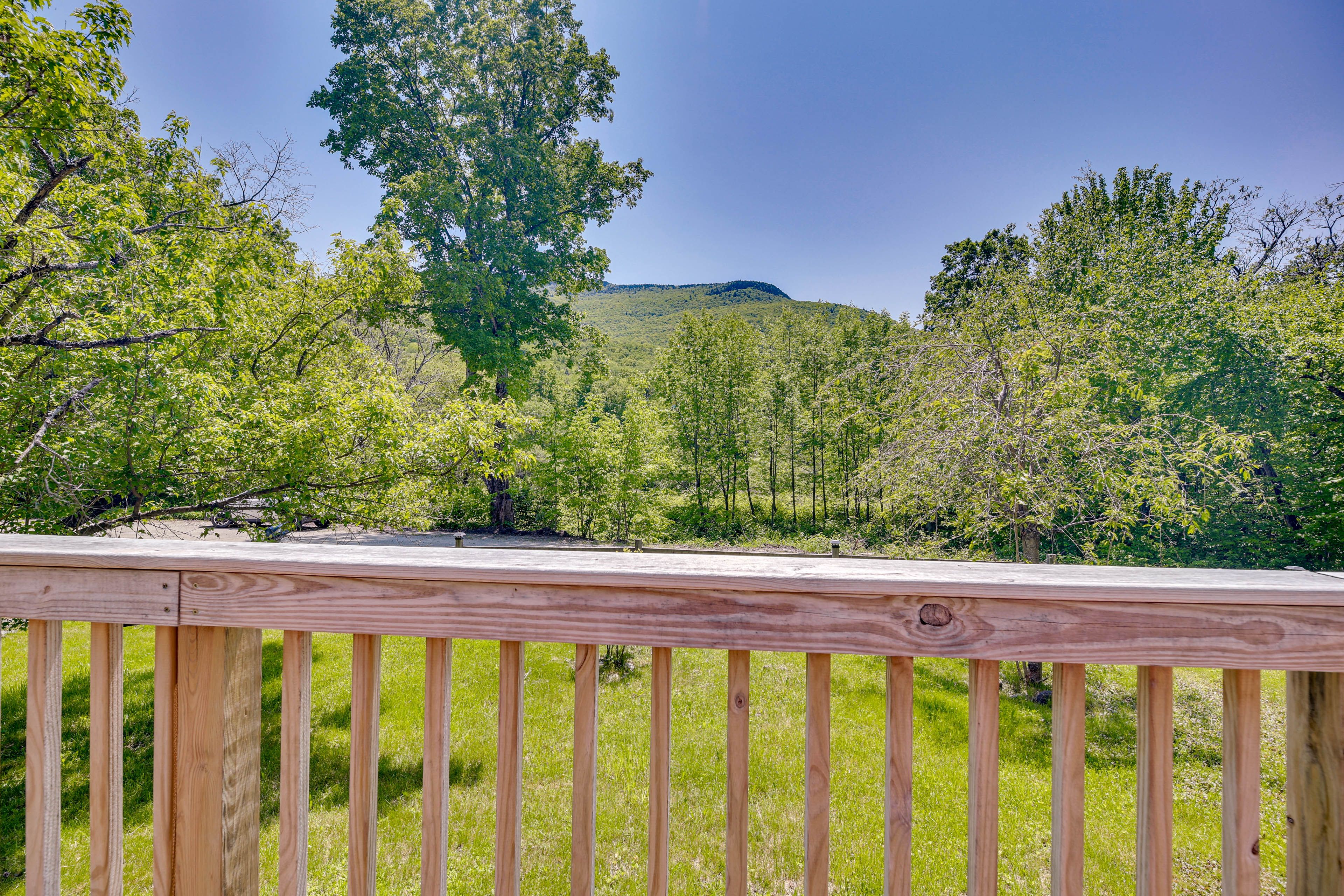 Deck View