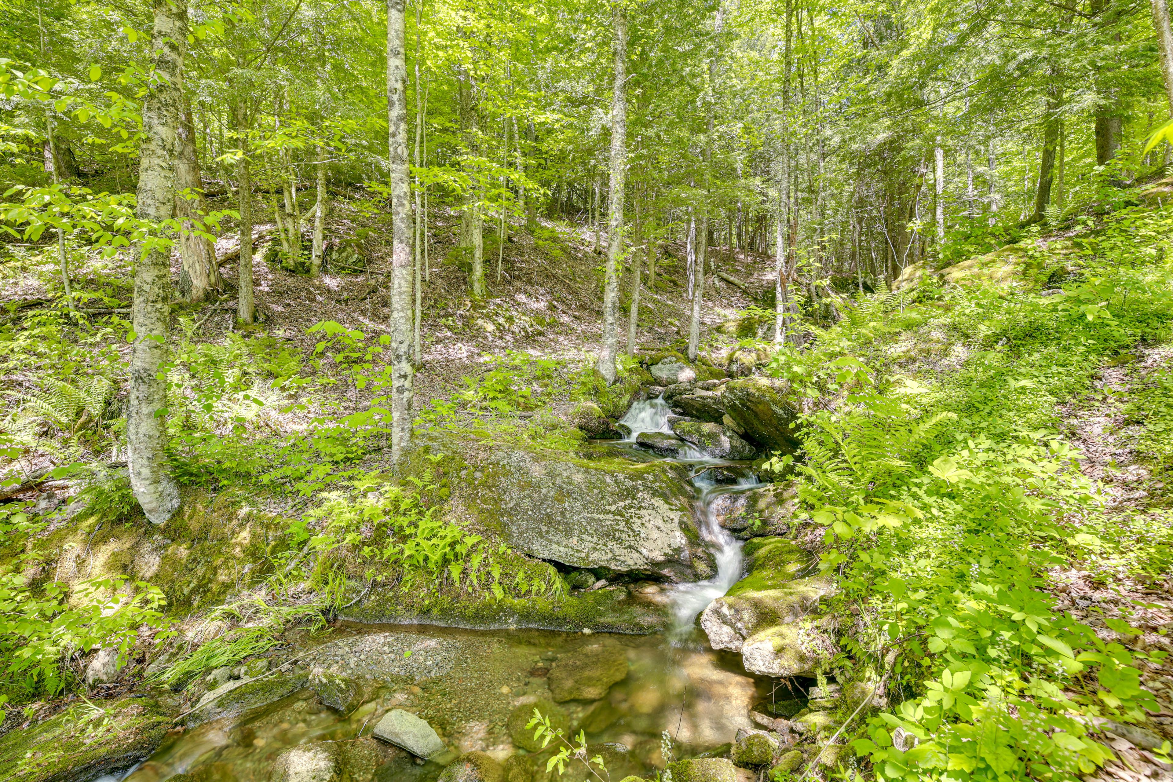 North Branch Lamoille River