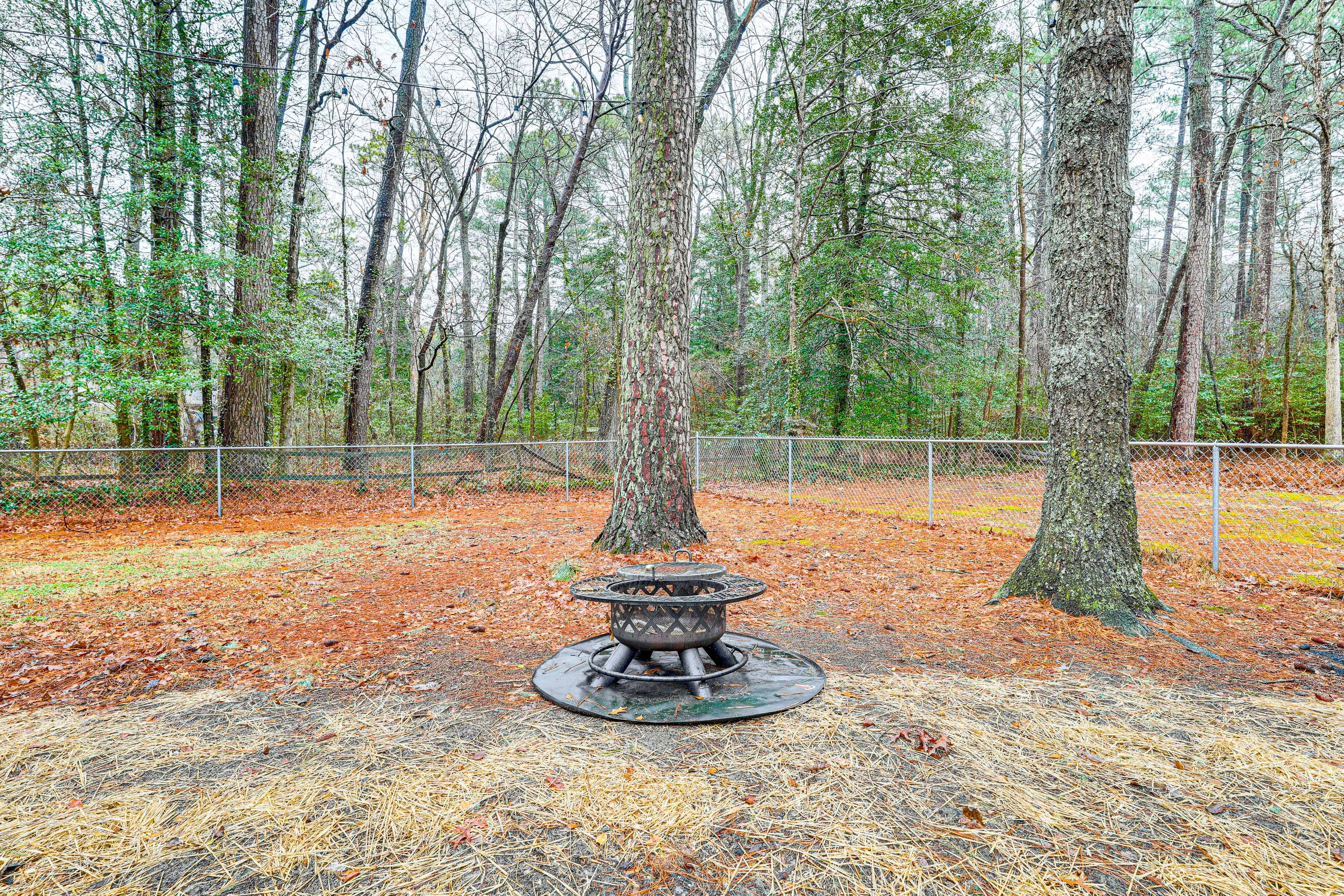 Private Backyard Area