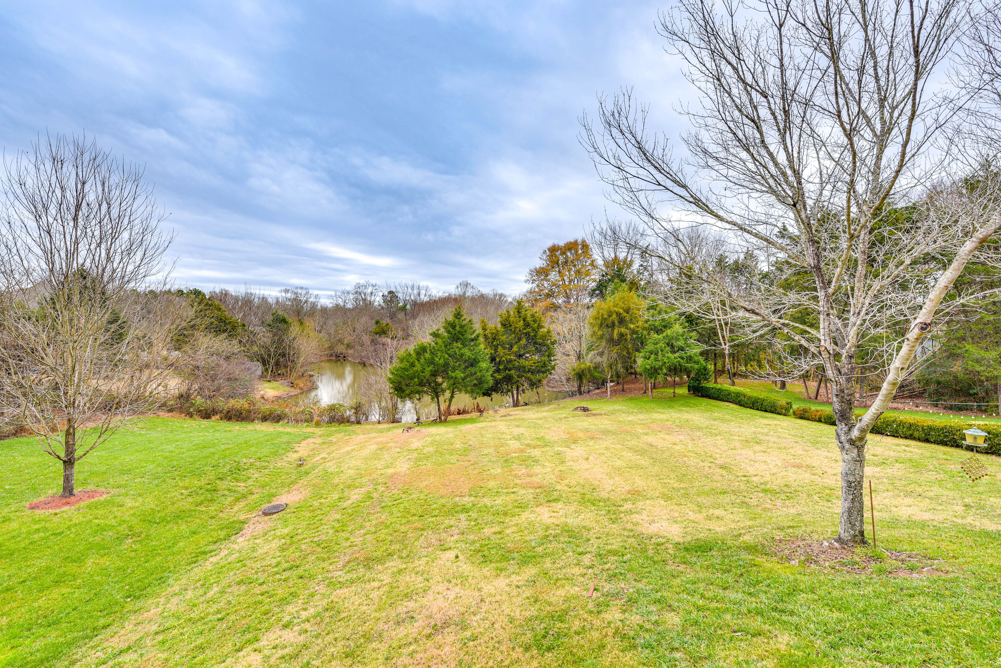 Spacious Yard
