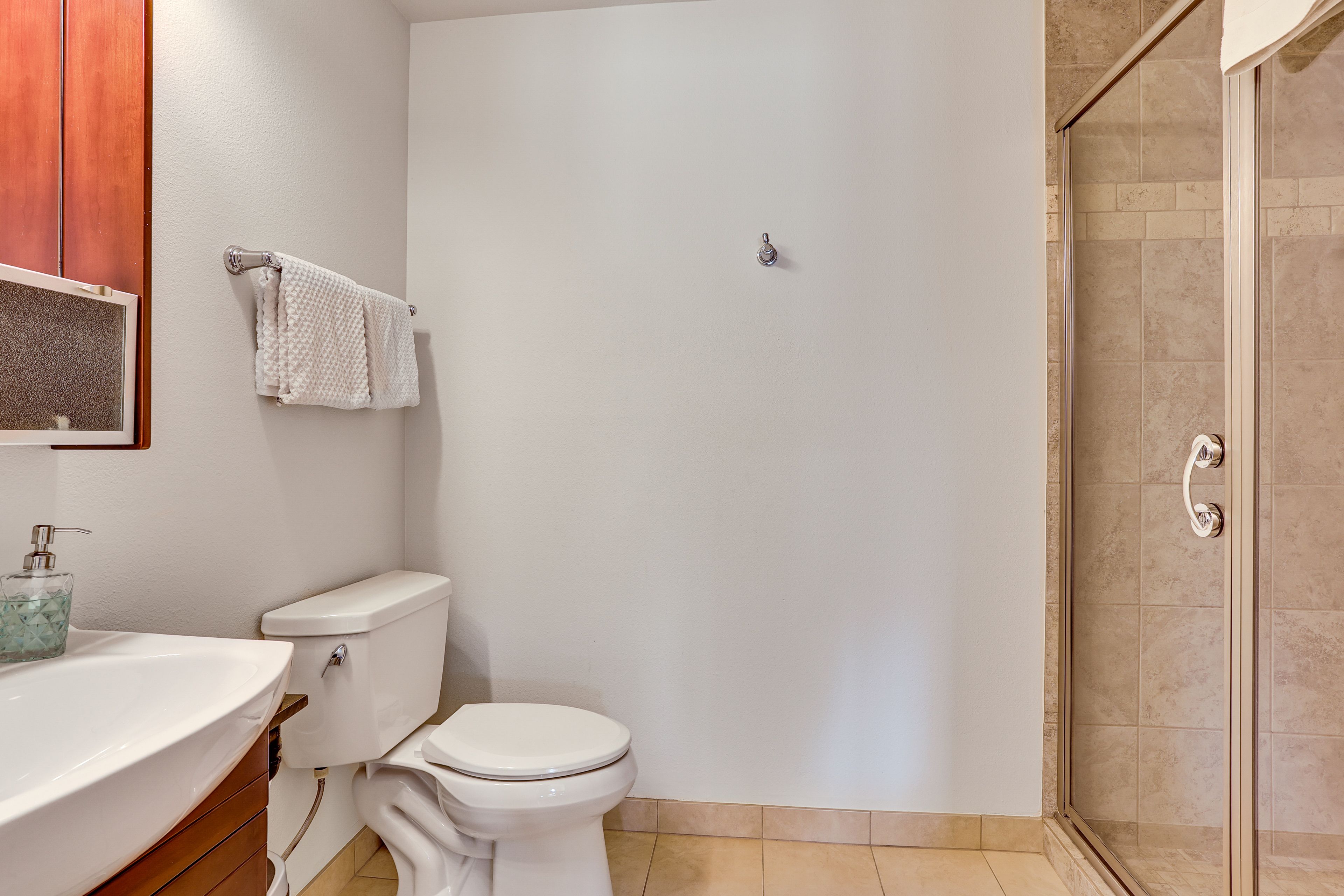 Bathroom | Shower | Lower Level