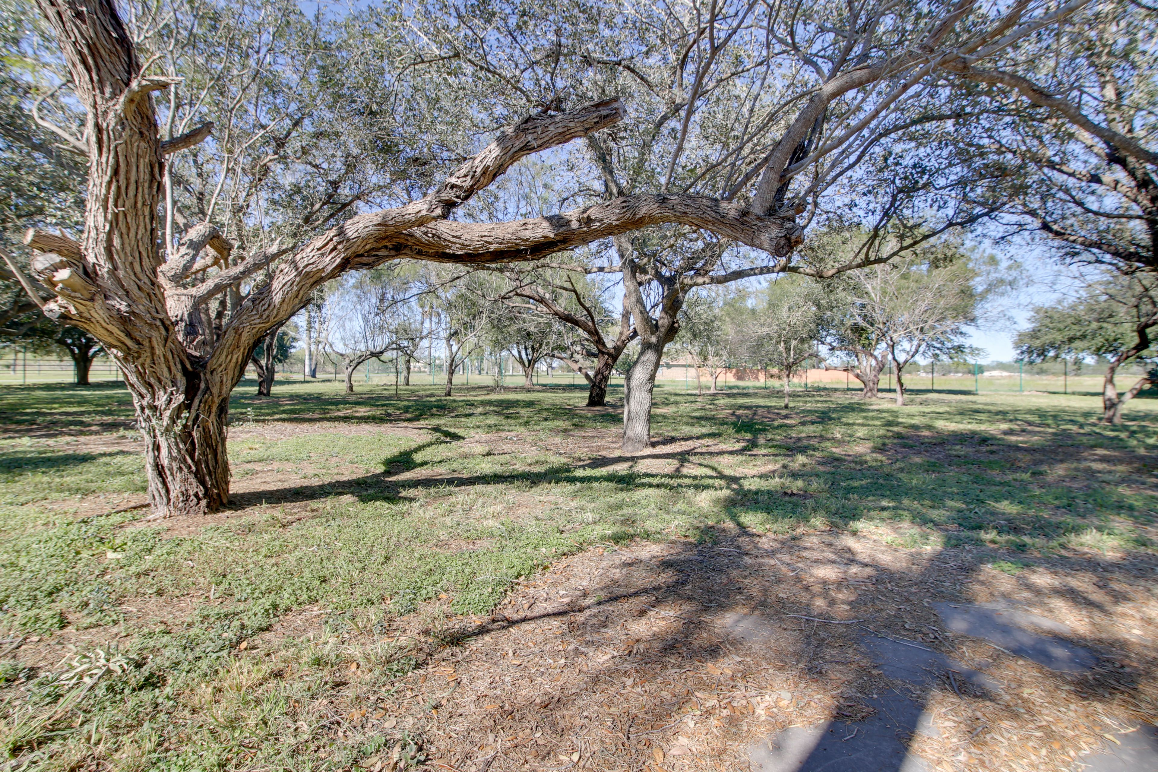 Shared Backyard | 2.5 Acres