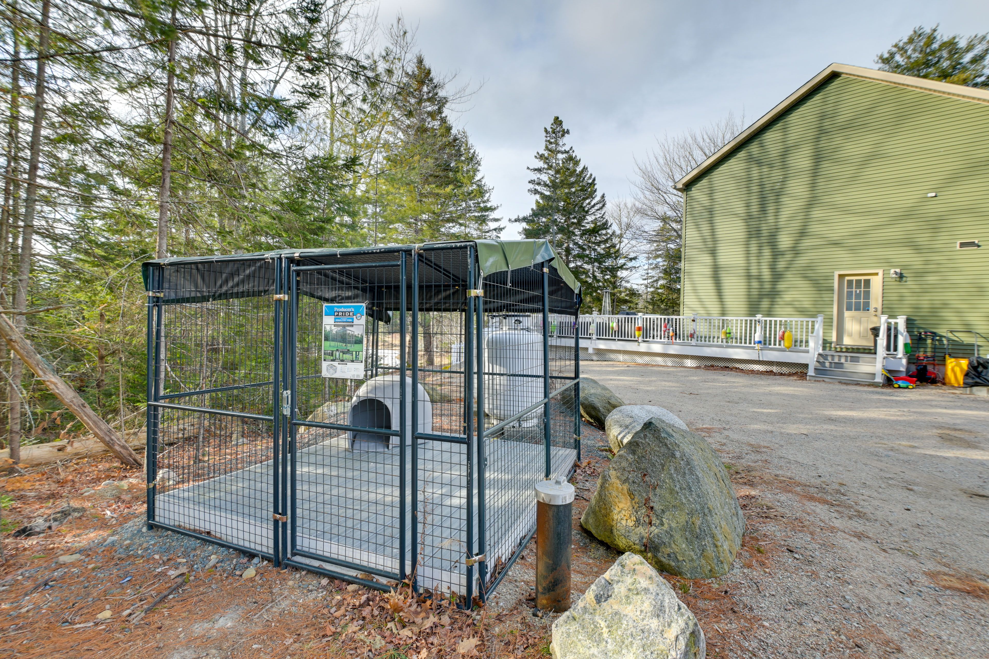 Outdoor Dog Kennel