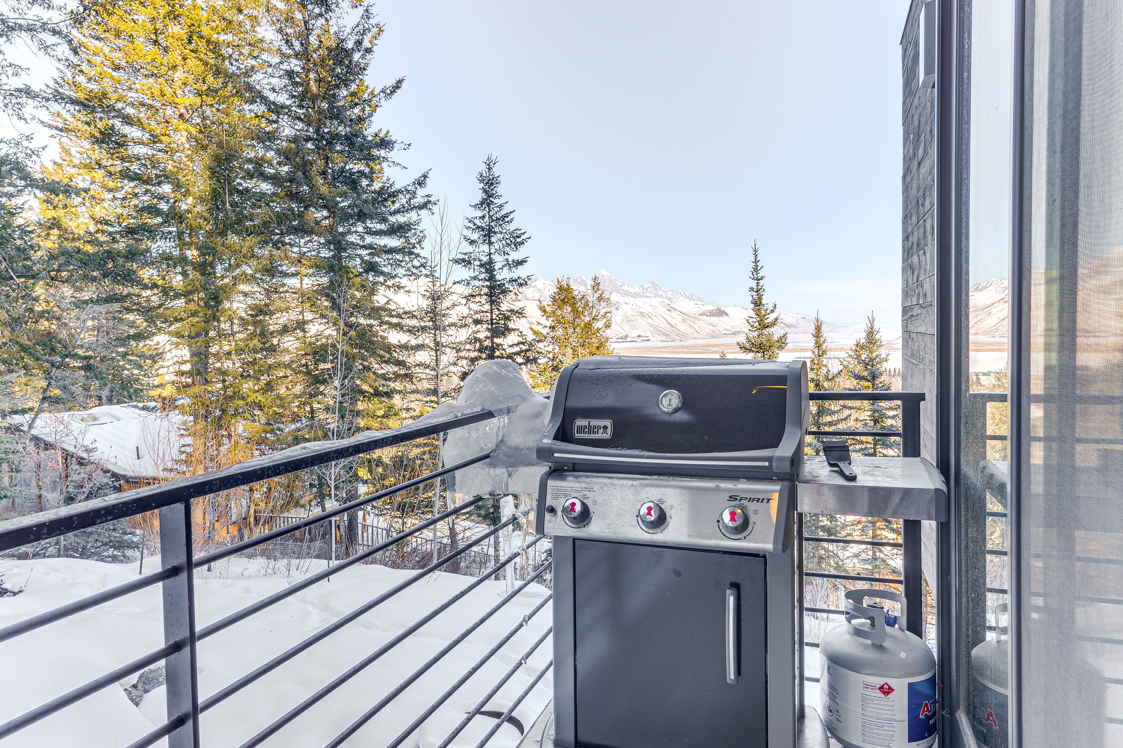 Gas Grill