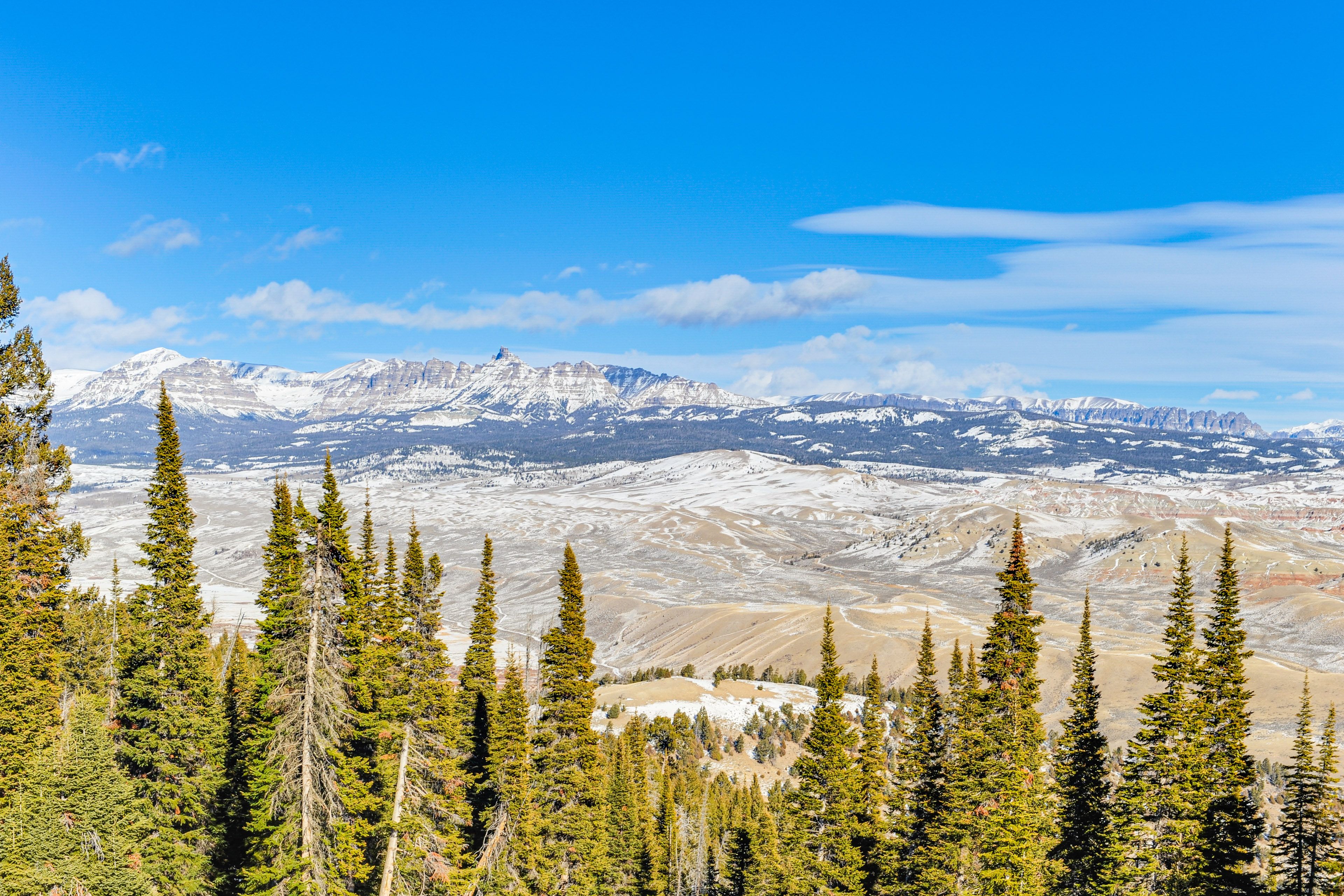 Property Views