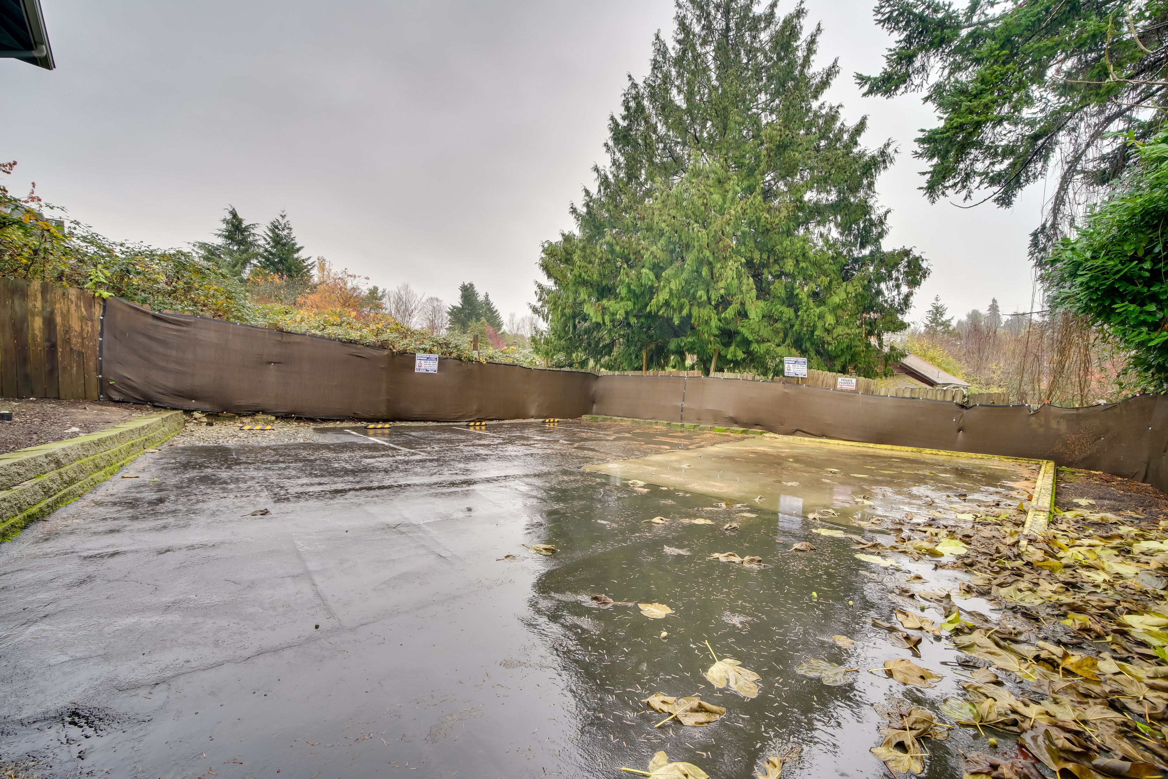 Parking | Shared Parking Lot (1 Vehicle) | Free Street Parking