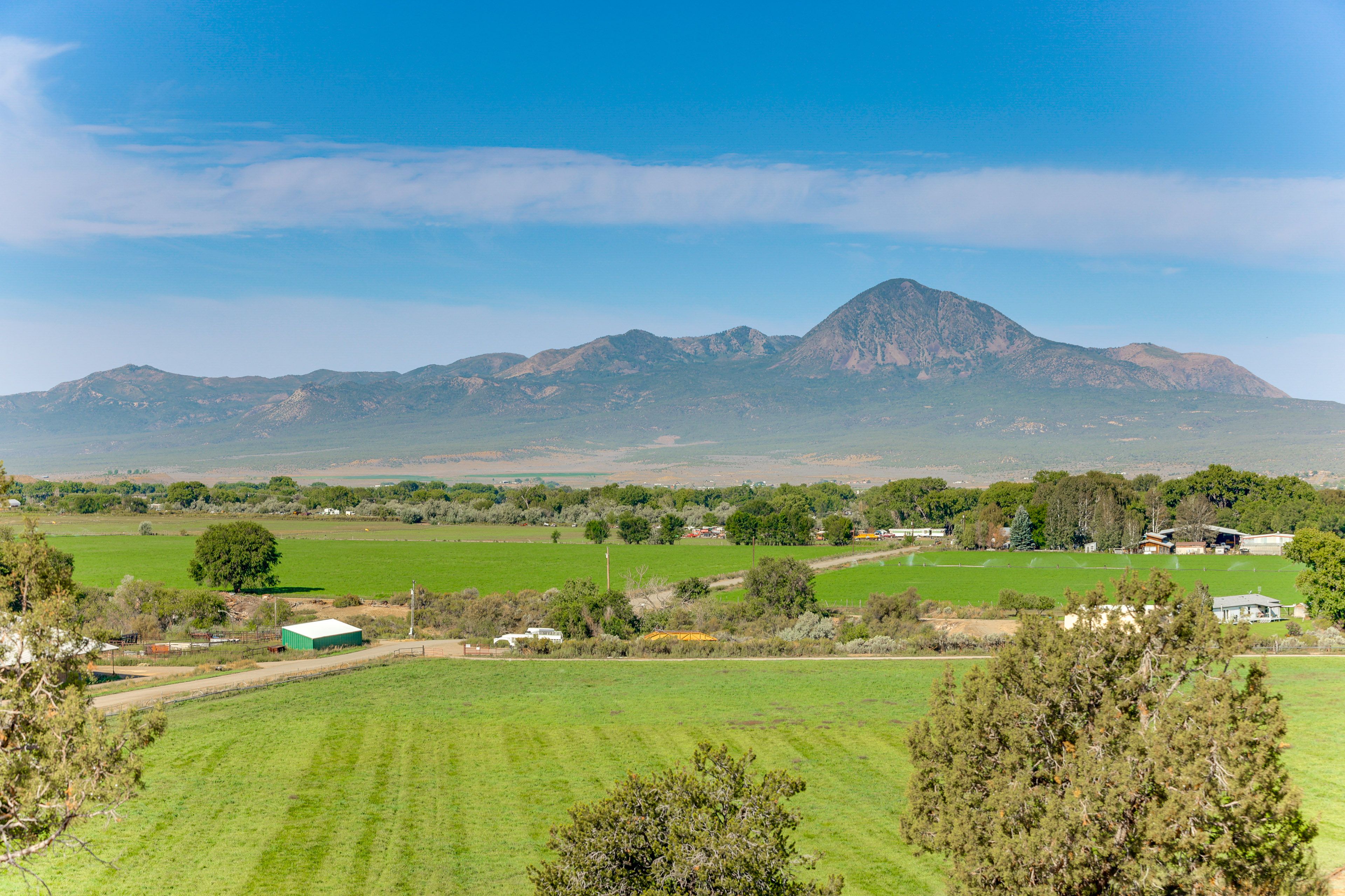 Property Views