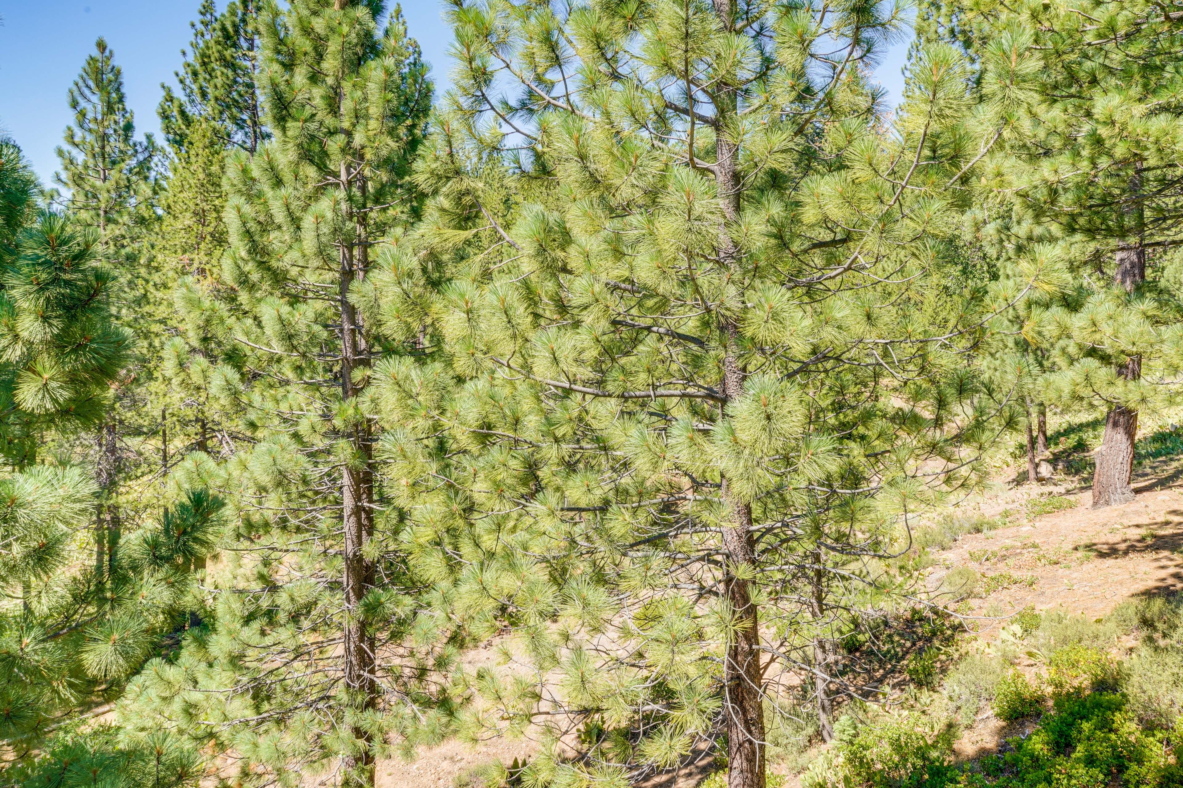 Property Views