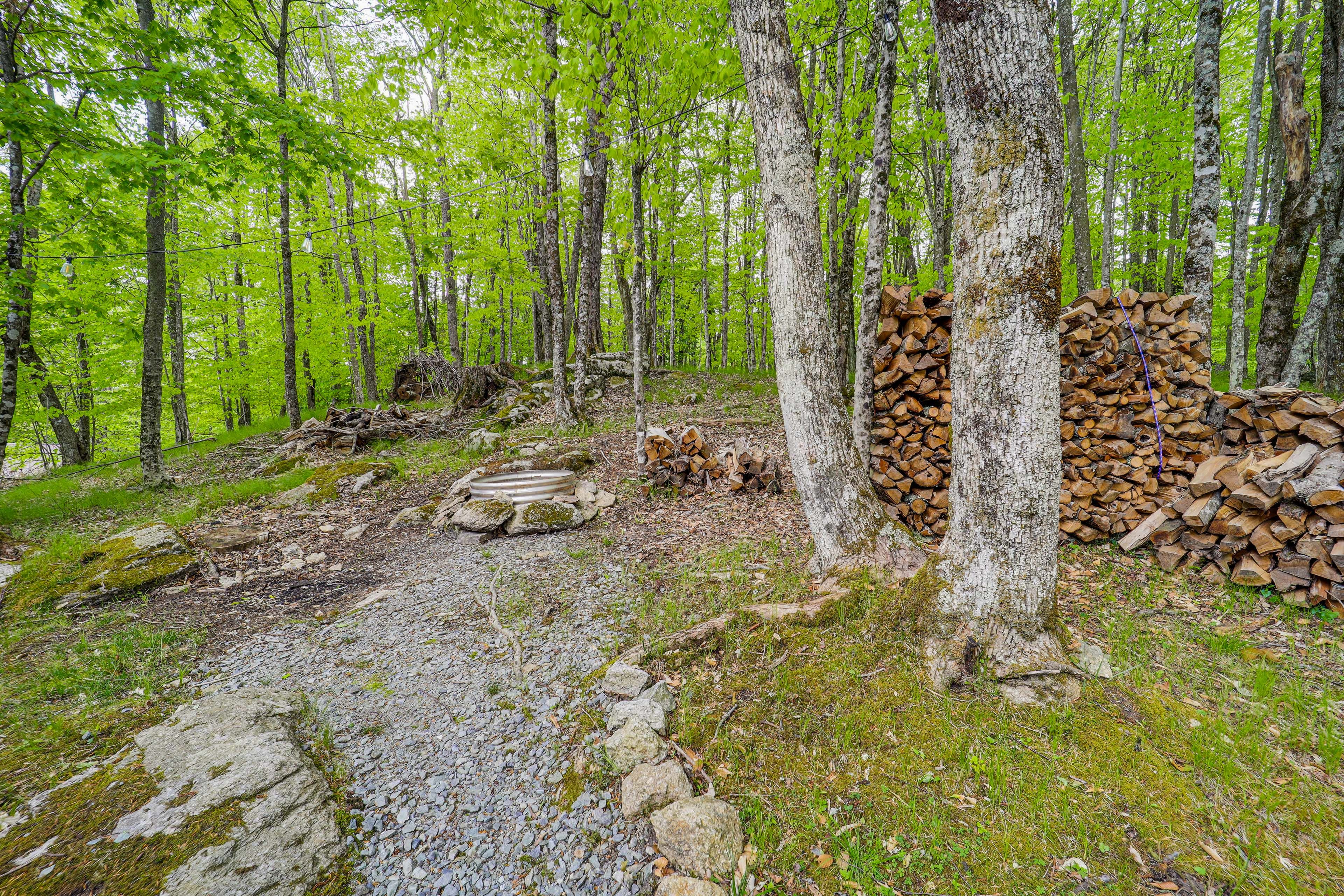 Image 31