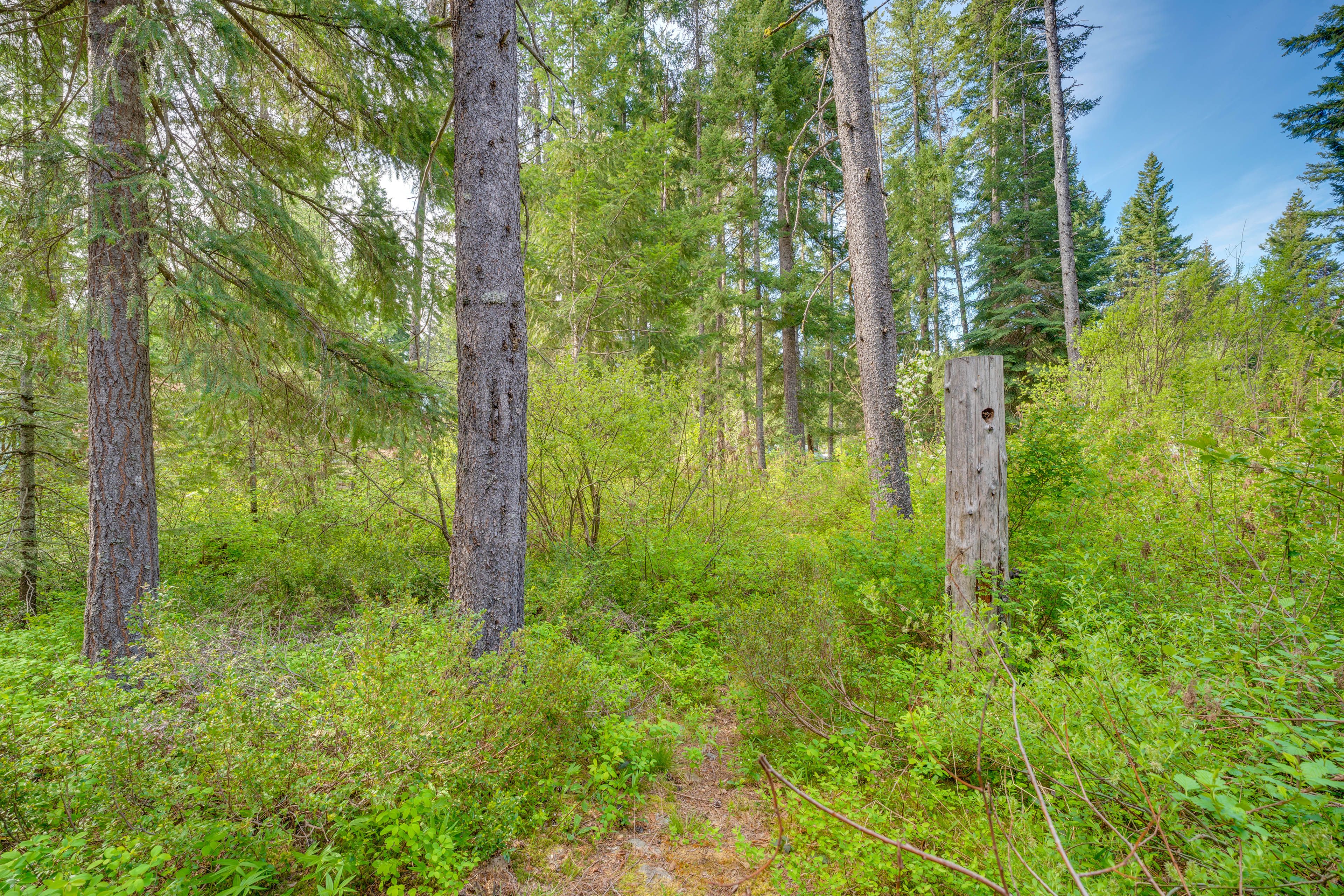Surrounding Area