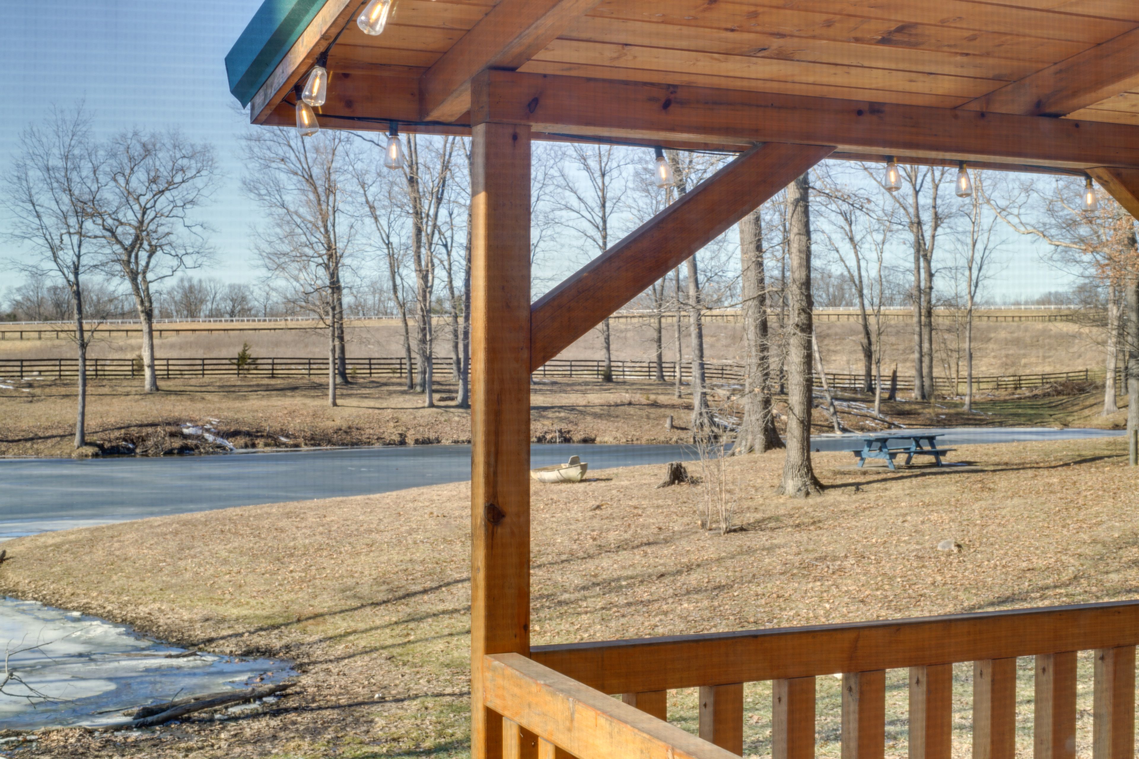 Pond Views