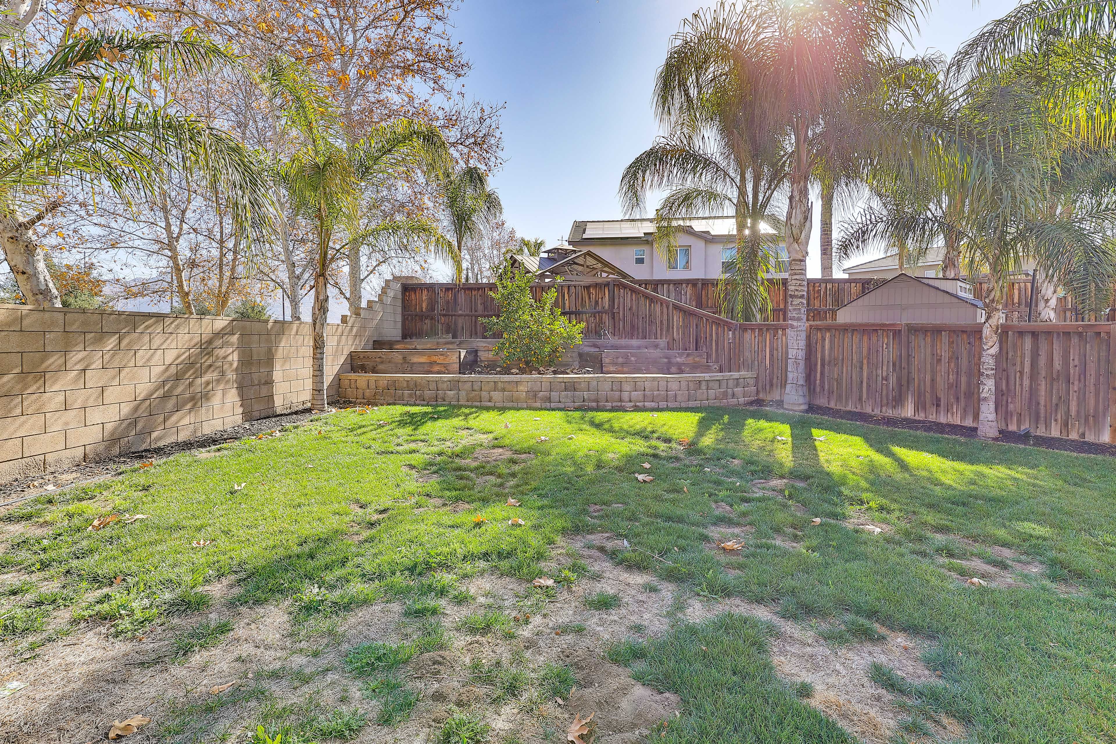 Fenced Backyard
