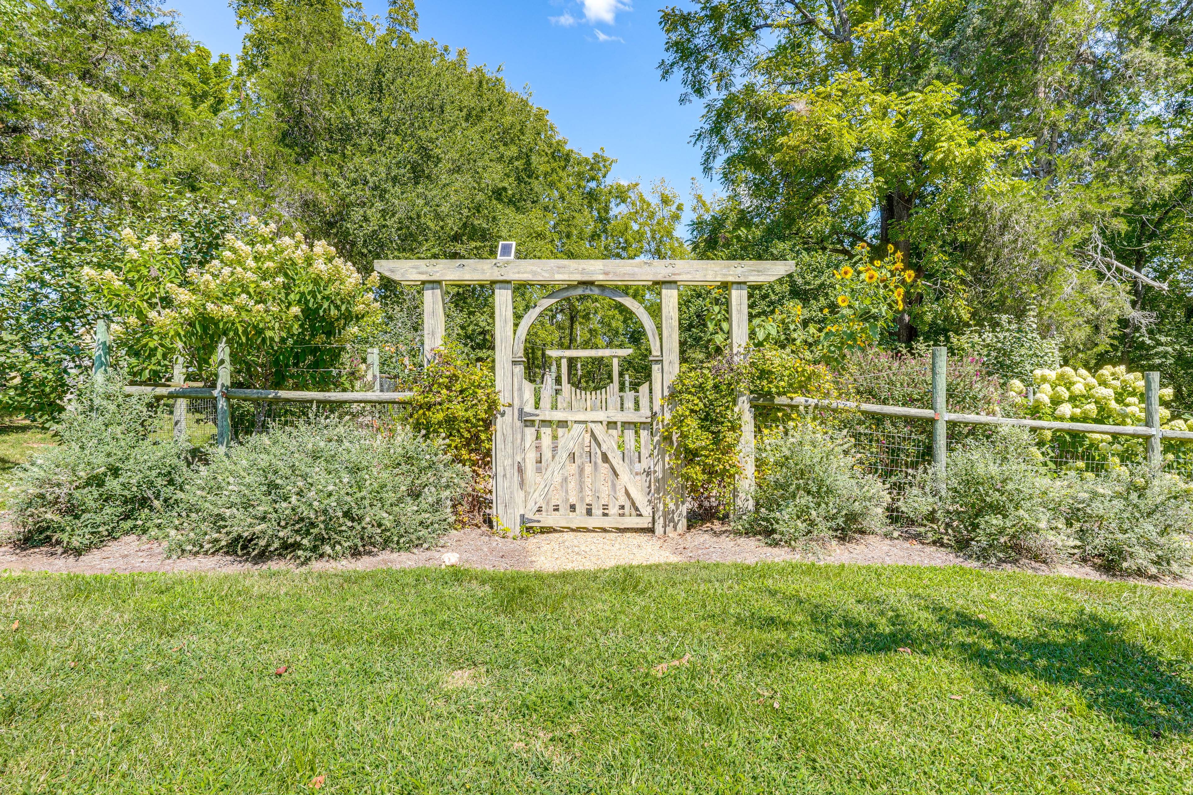 Spacious Yard | Garden & Fruit Trees