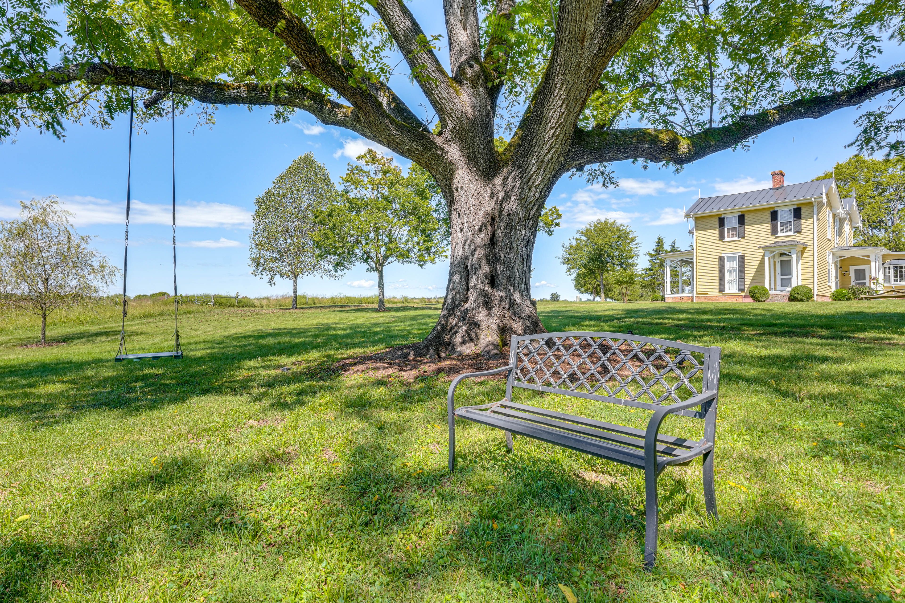 Exterior | Swing | Hammock