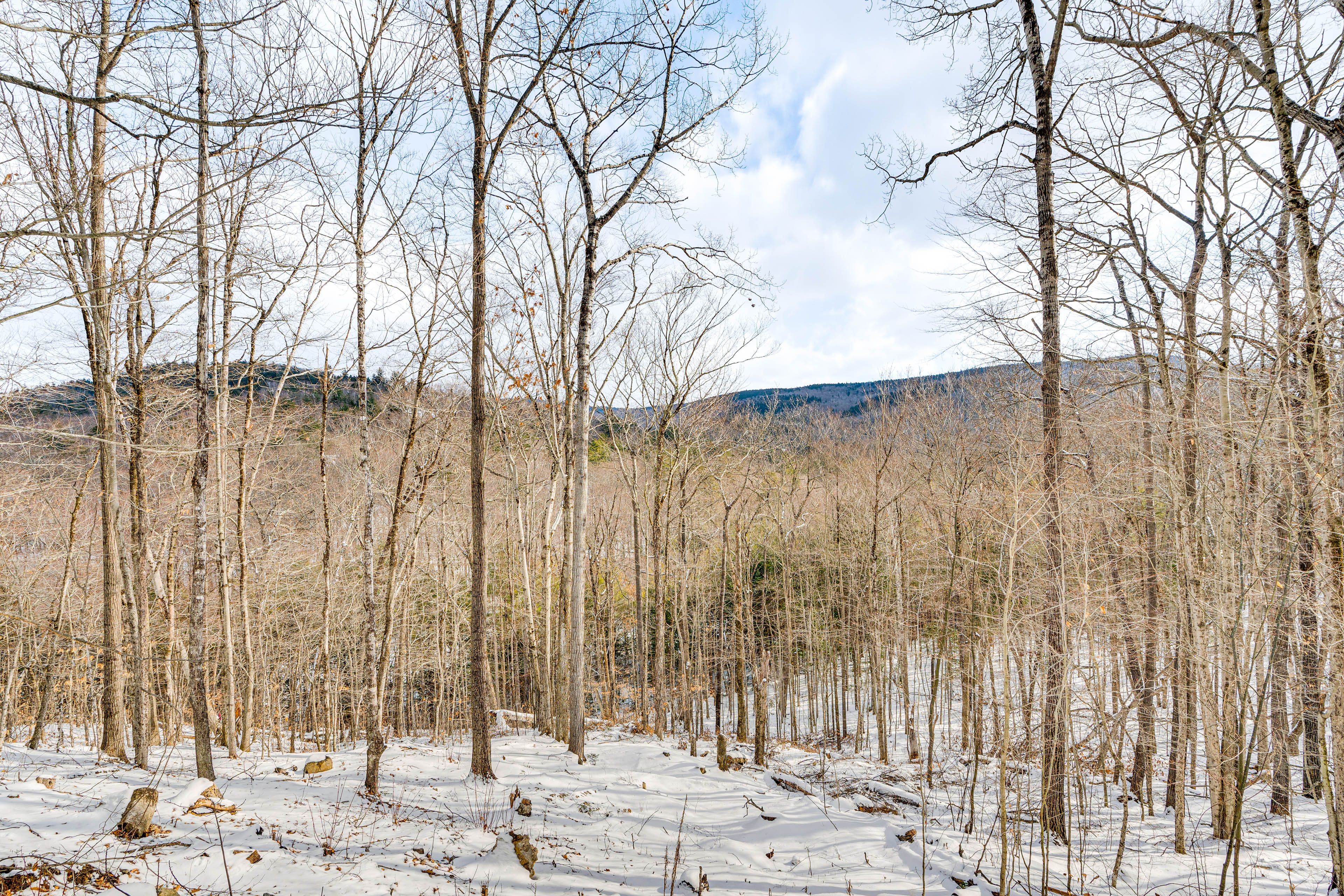 Surrounding Area