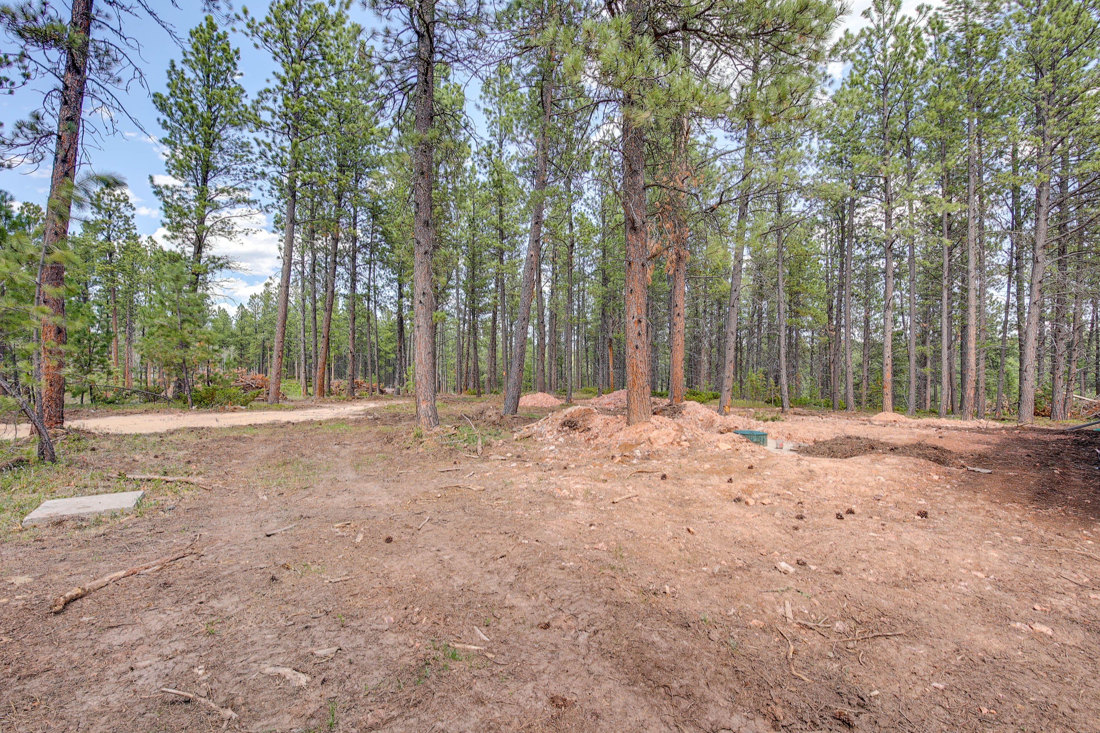 Surrounding Area