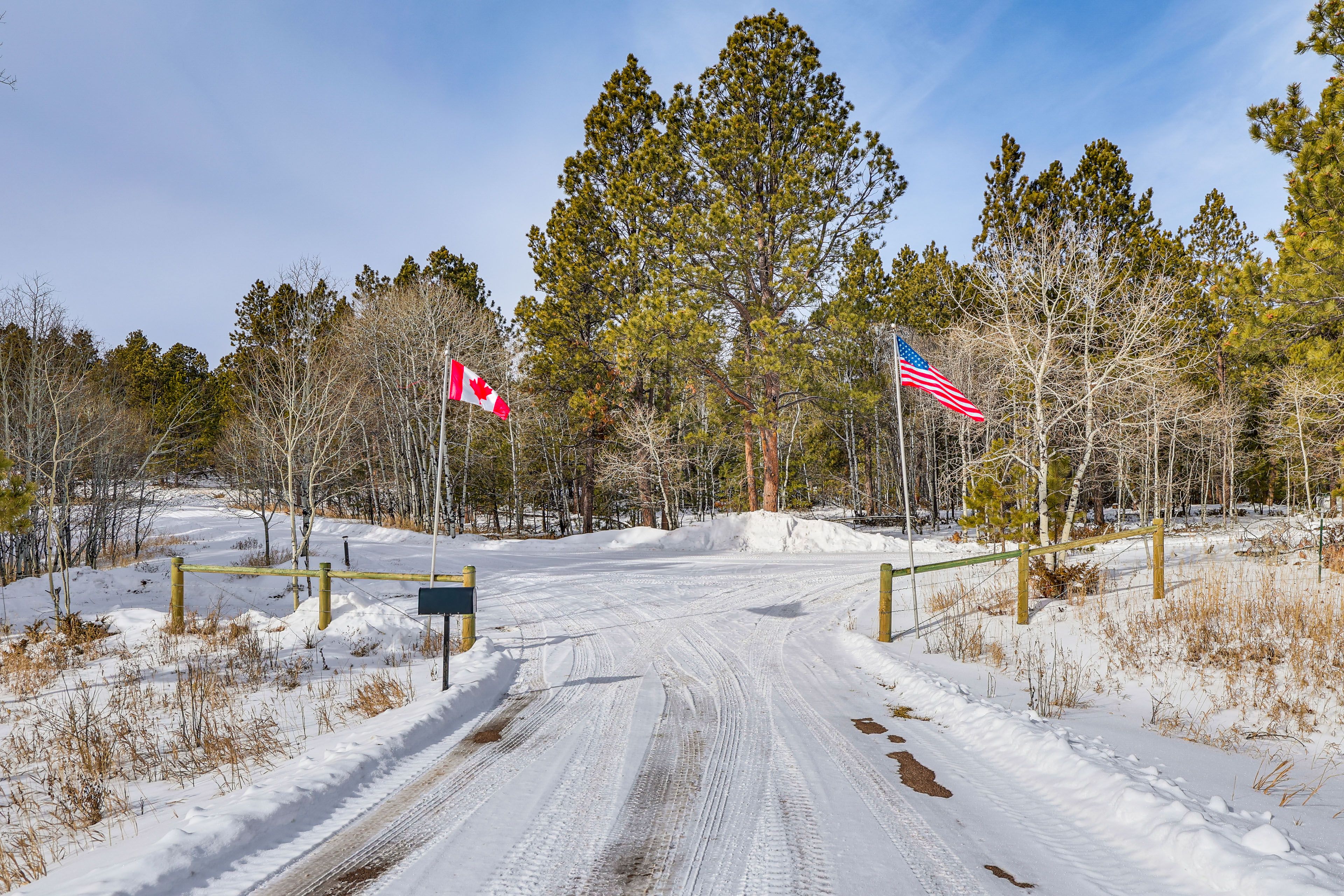 Parking | Driveway (6 Vehicles)
