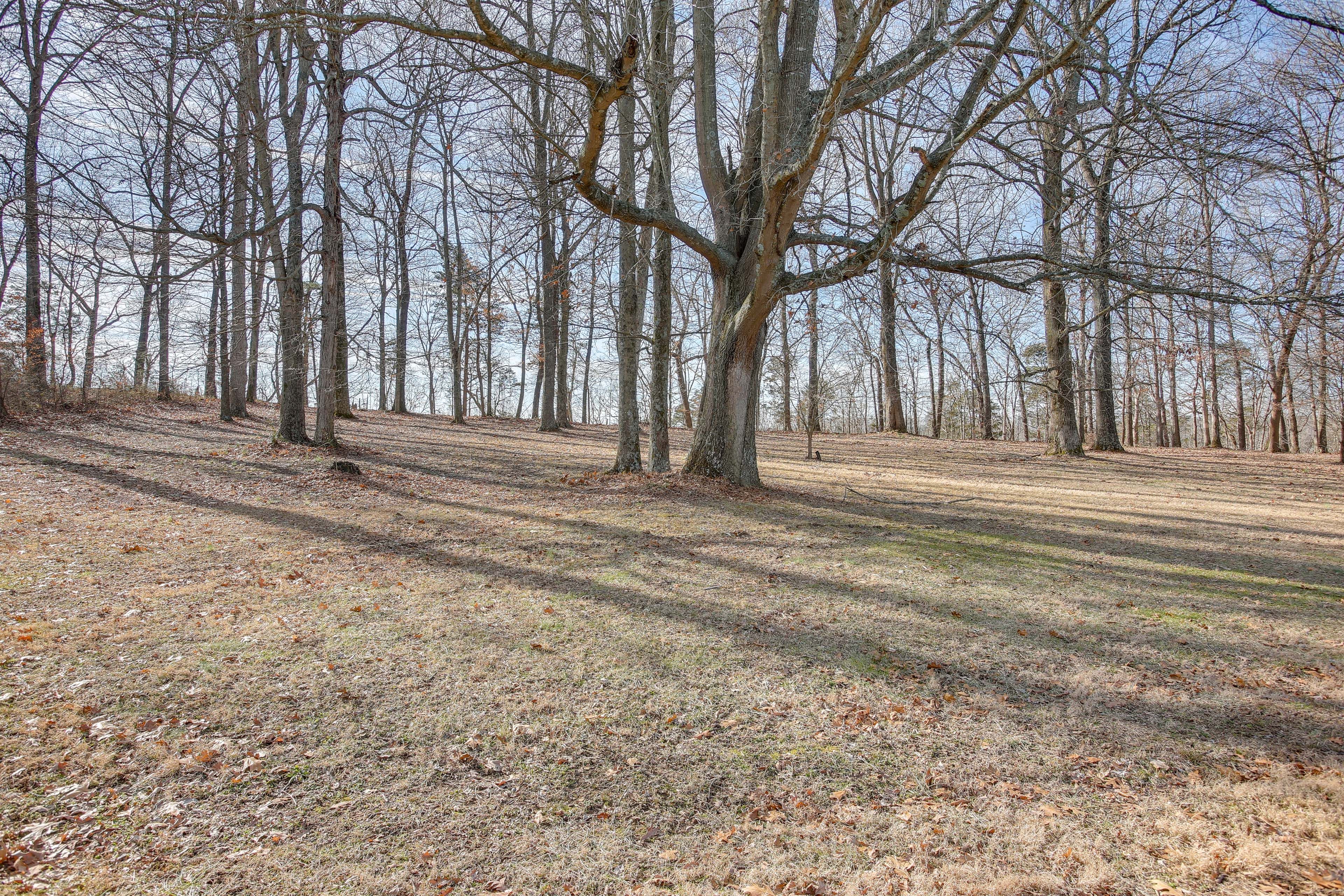 Property Surroundings