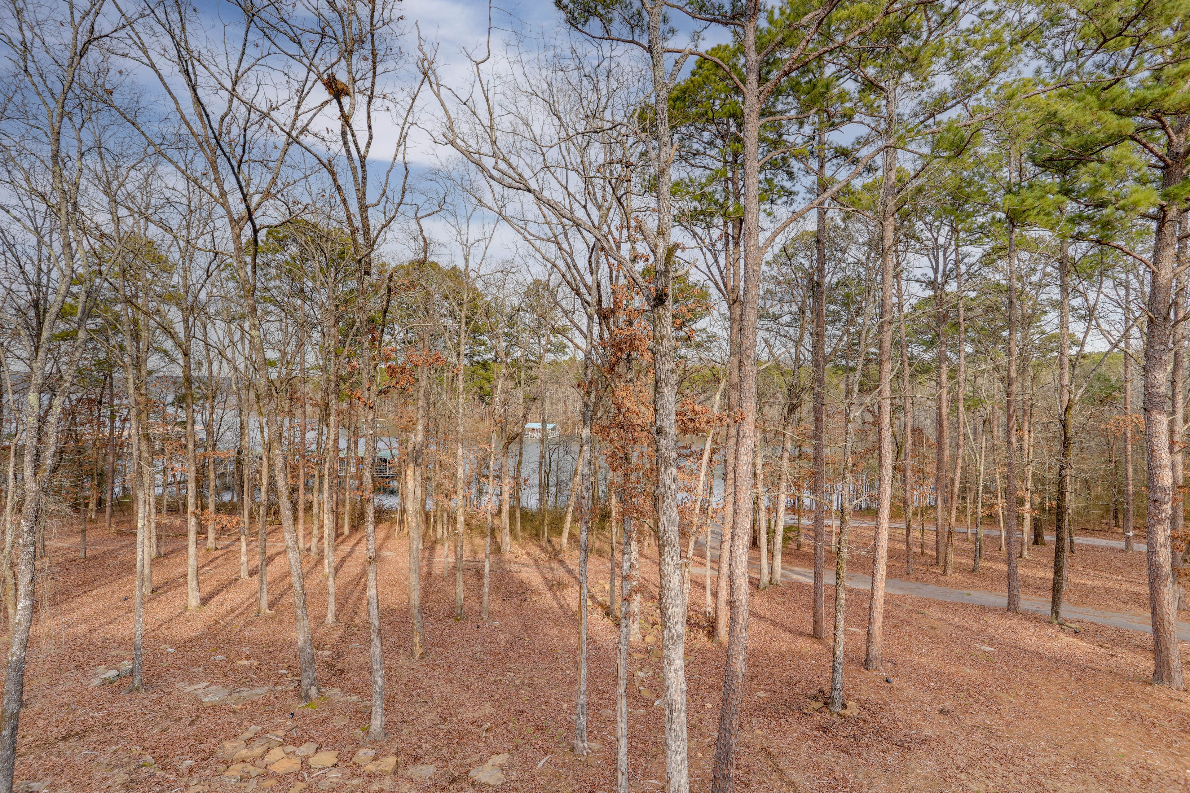 Surrounding Area
