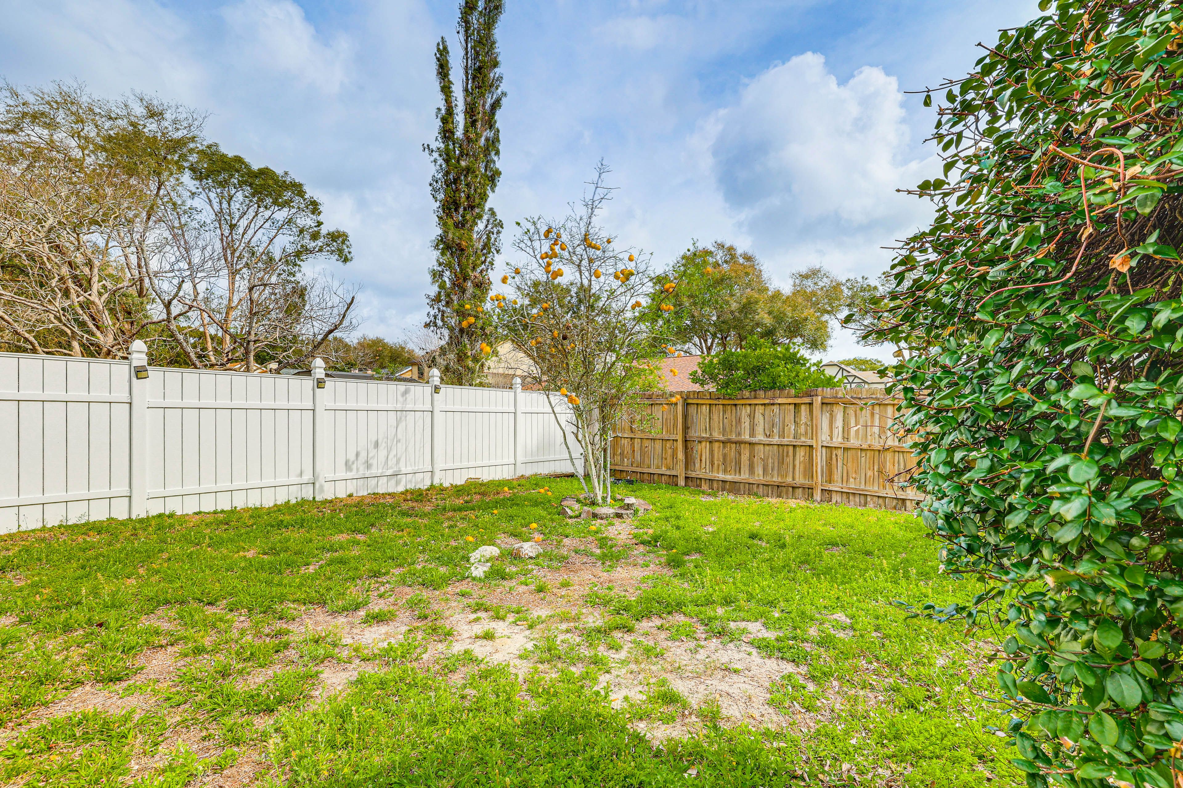 Private Yard | Fruit Tree