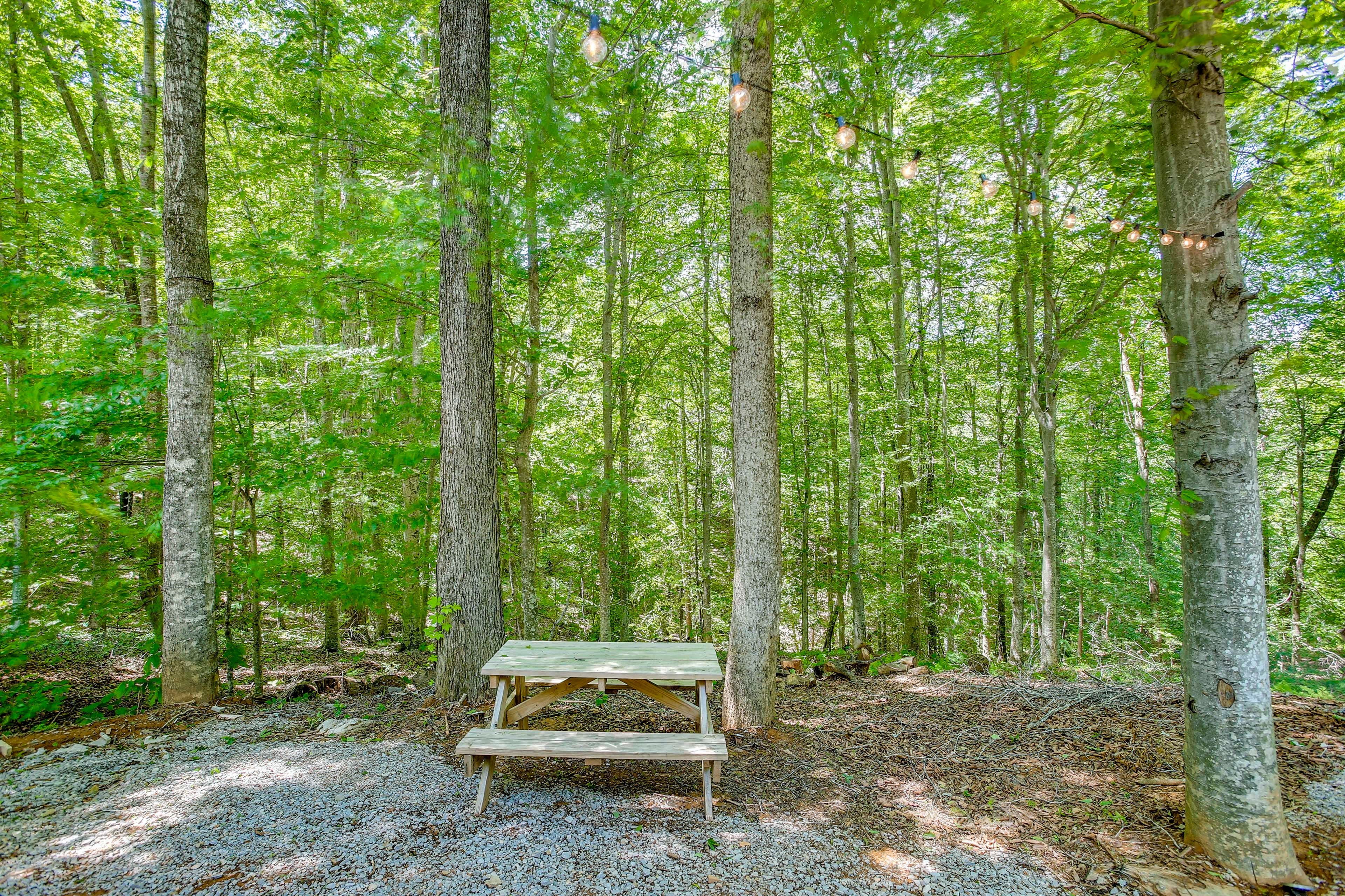 Picnic Table