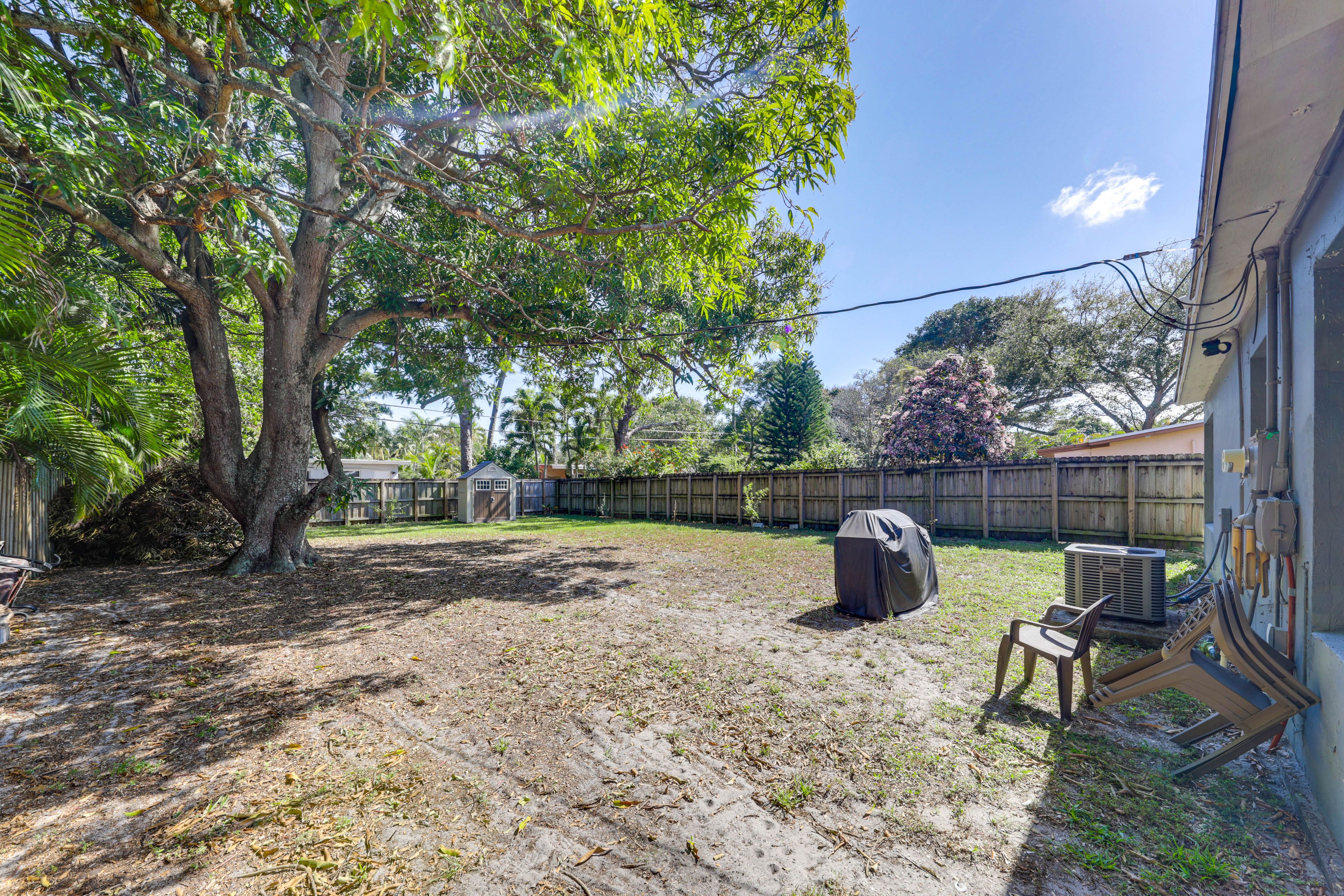 Backyard | Gas Grill