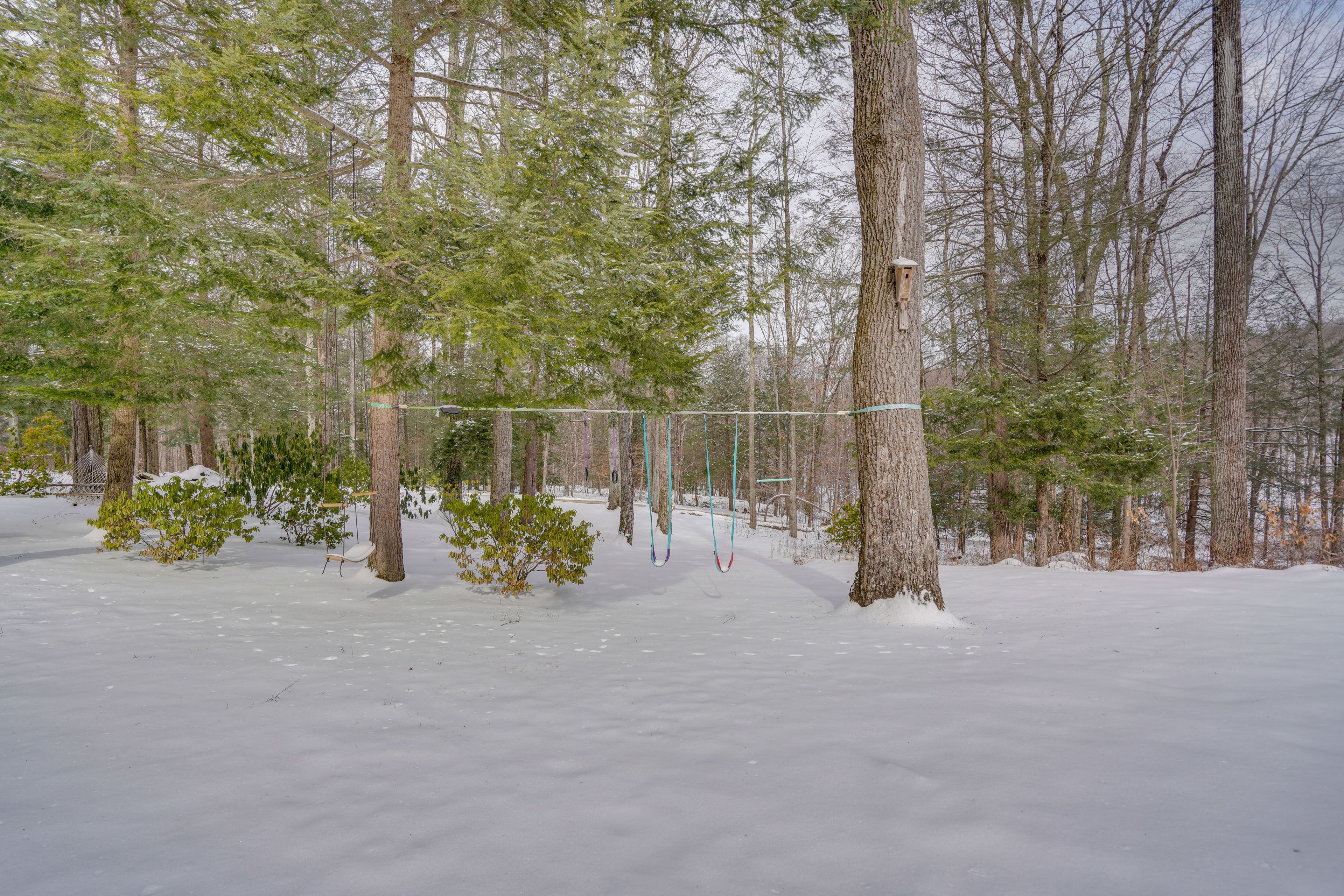 Backyard | Children's Swings | Hammock