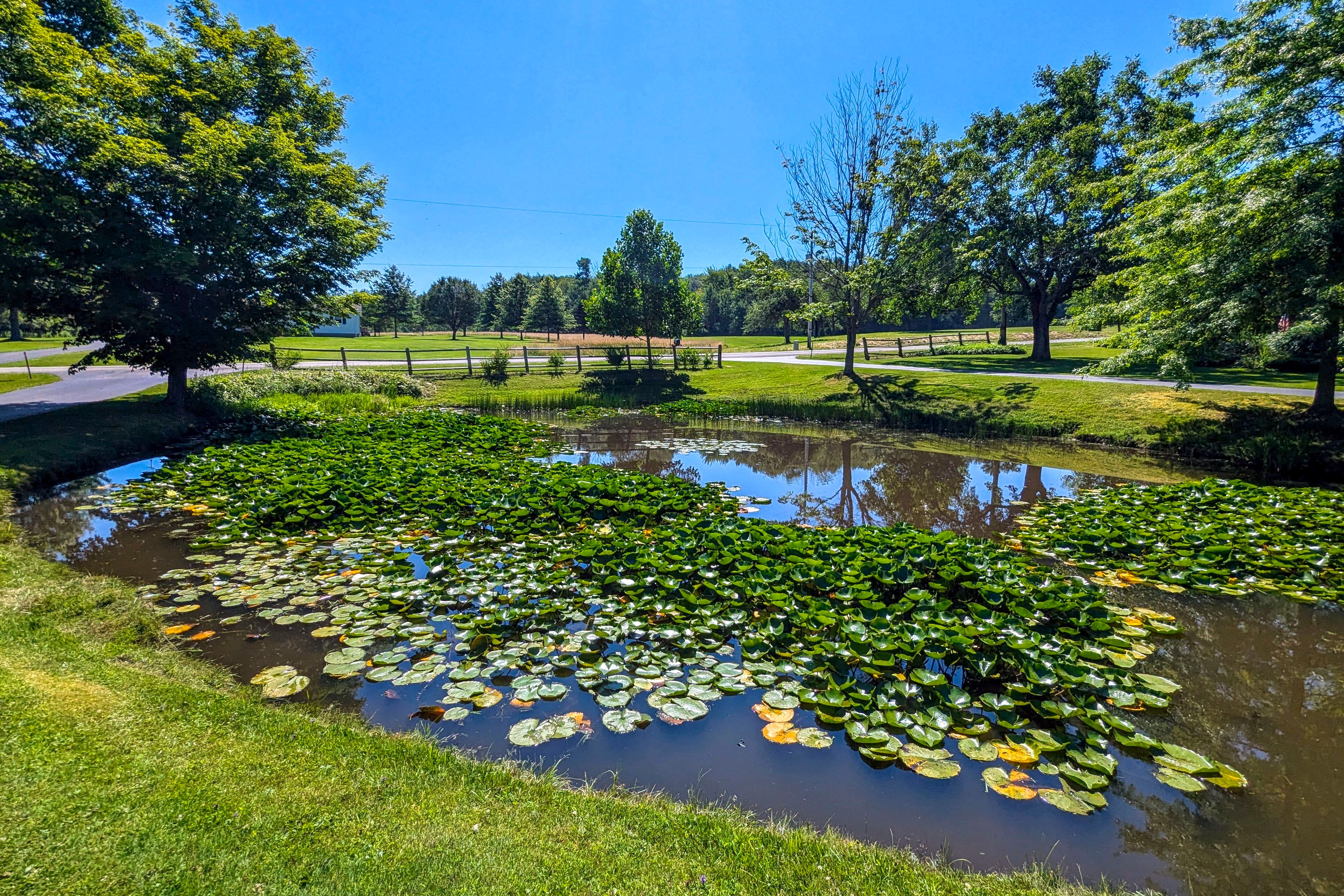 On-Site Pond