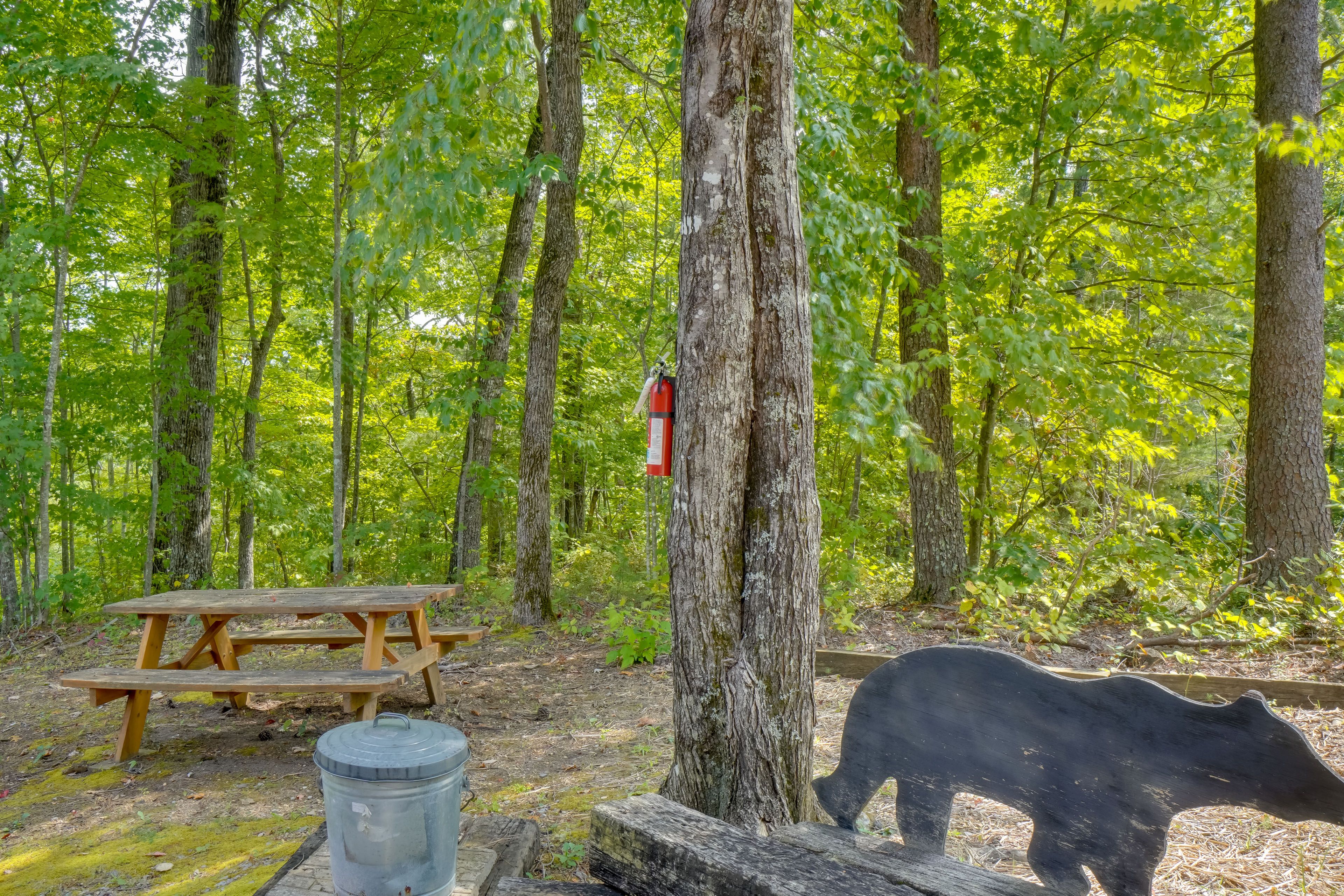 Picnic Area w/ Charcoal Grill