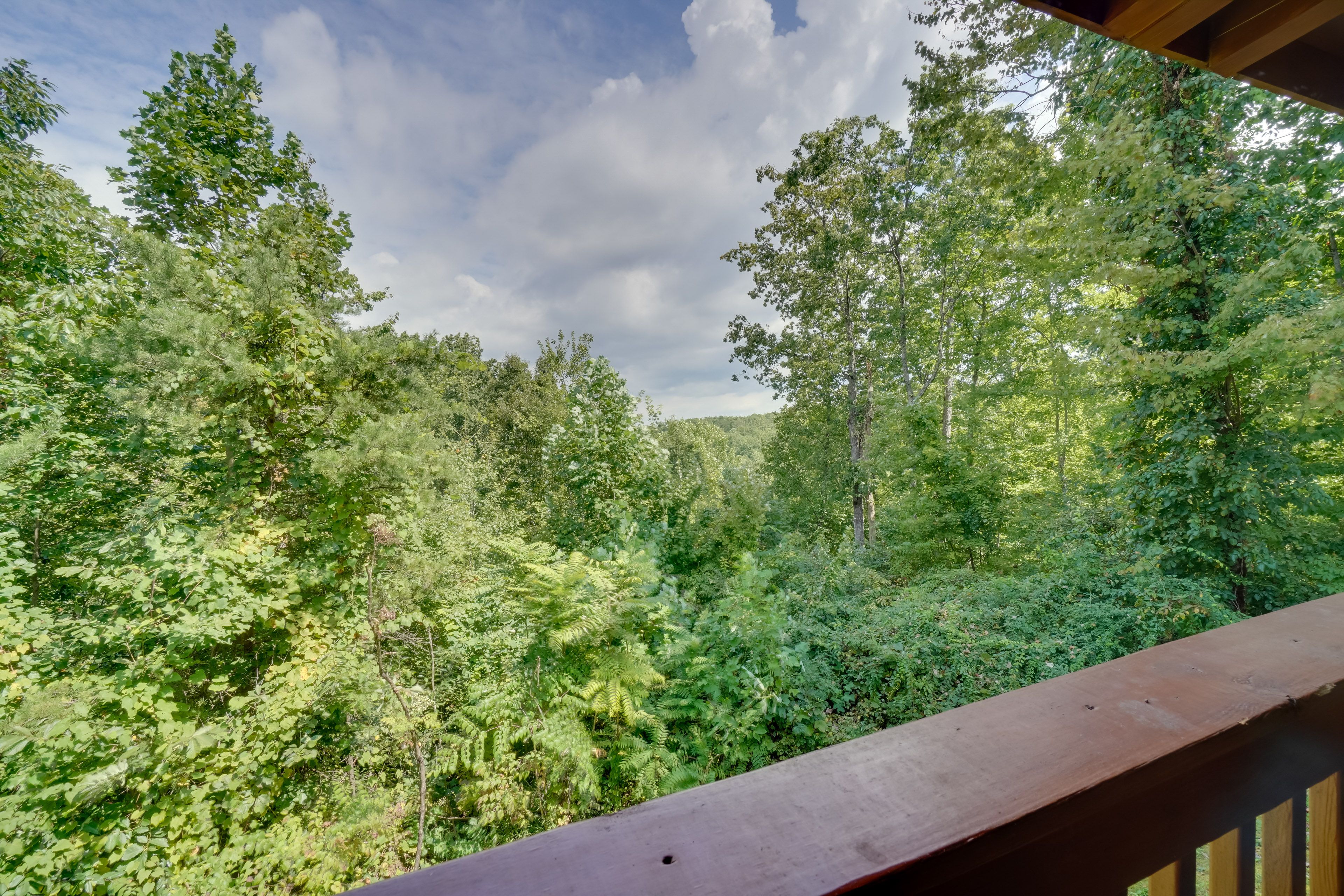 Surrounding Views