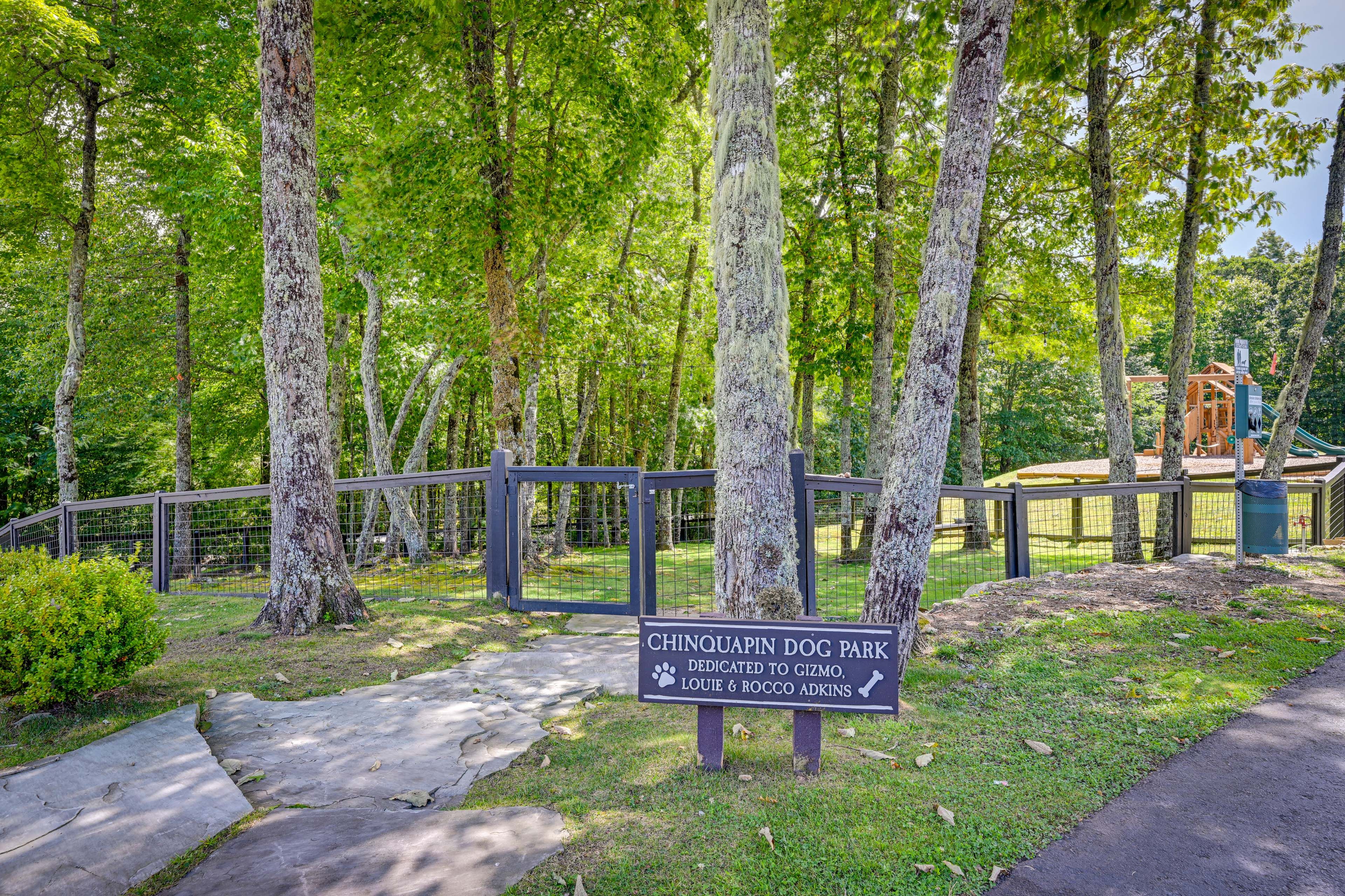 Dog Park