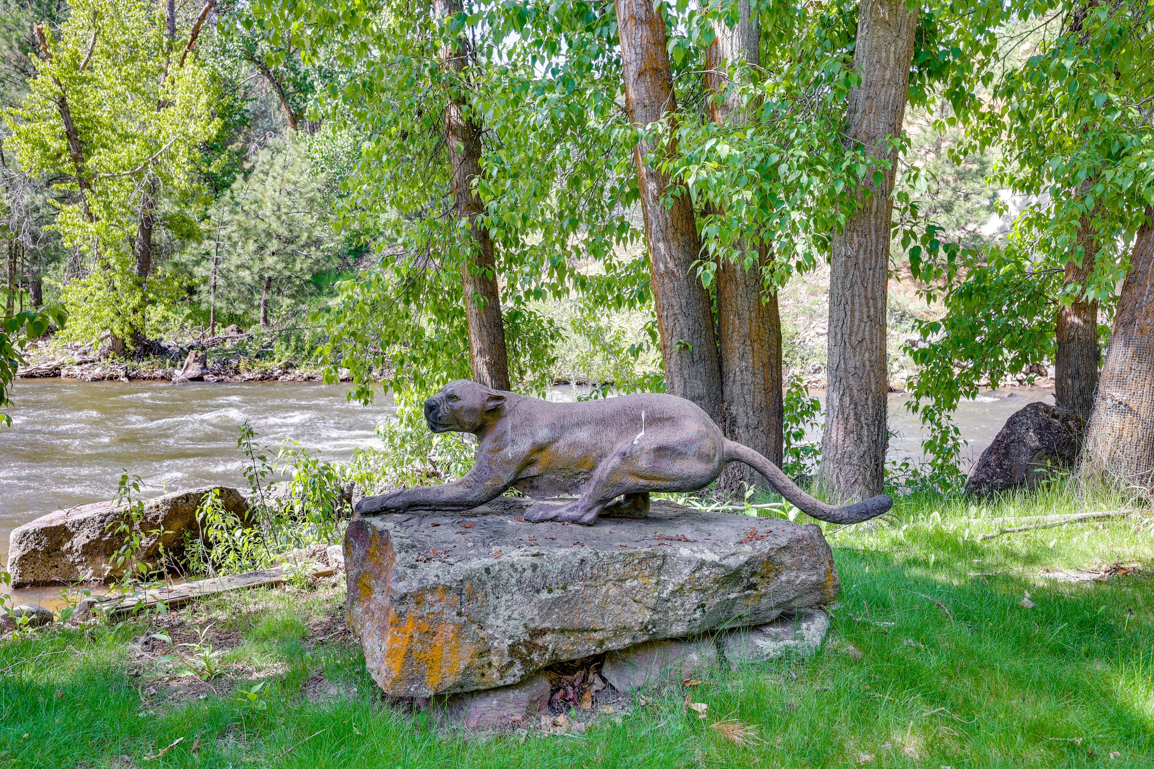 Image 34