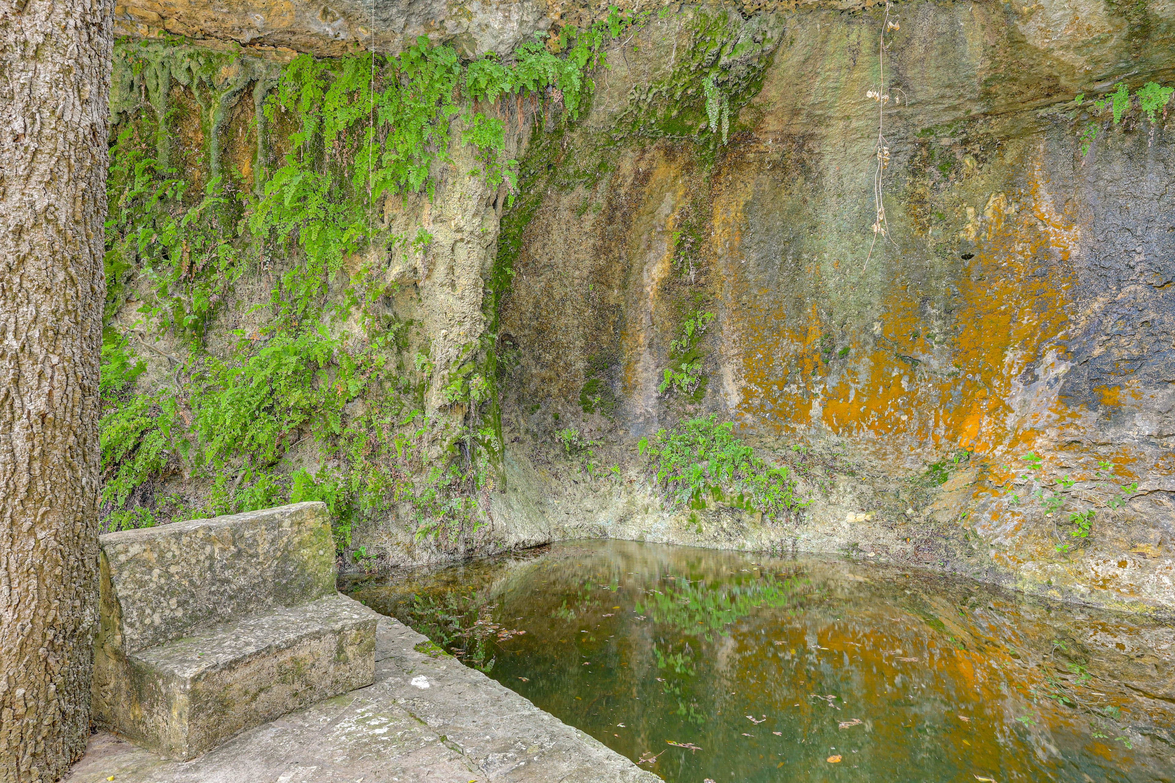 Image 34