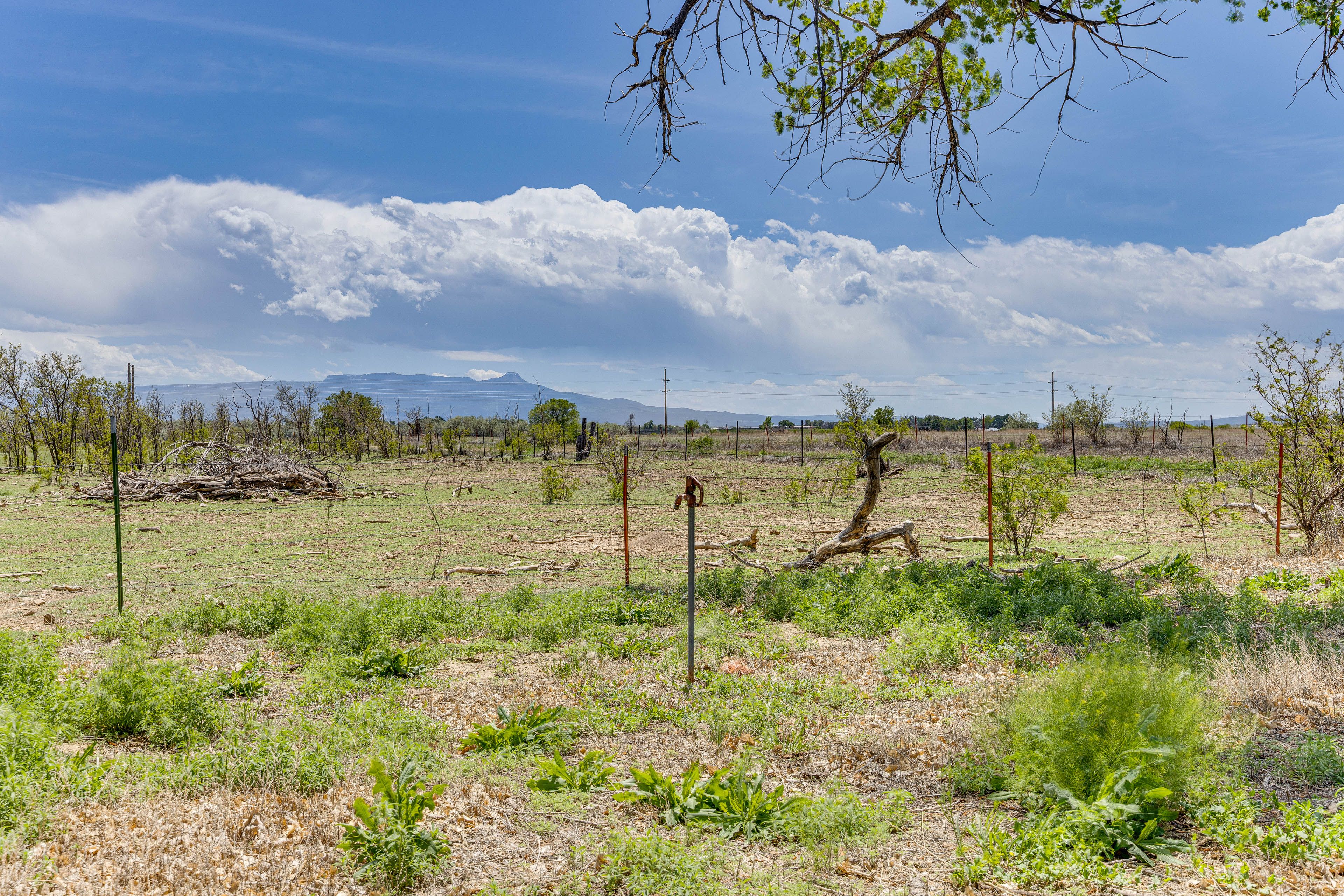 Mountain & Pasture Views | Gas Grill | Single-Story Home