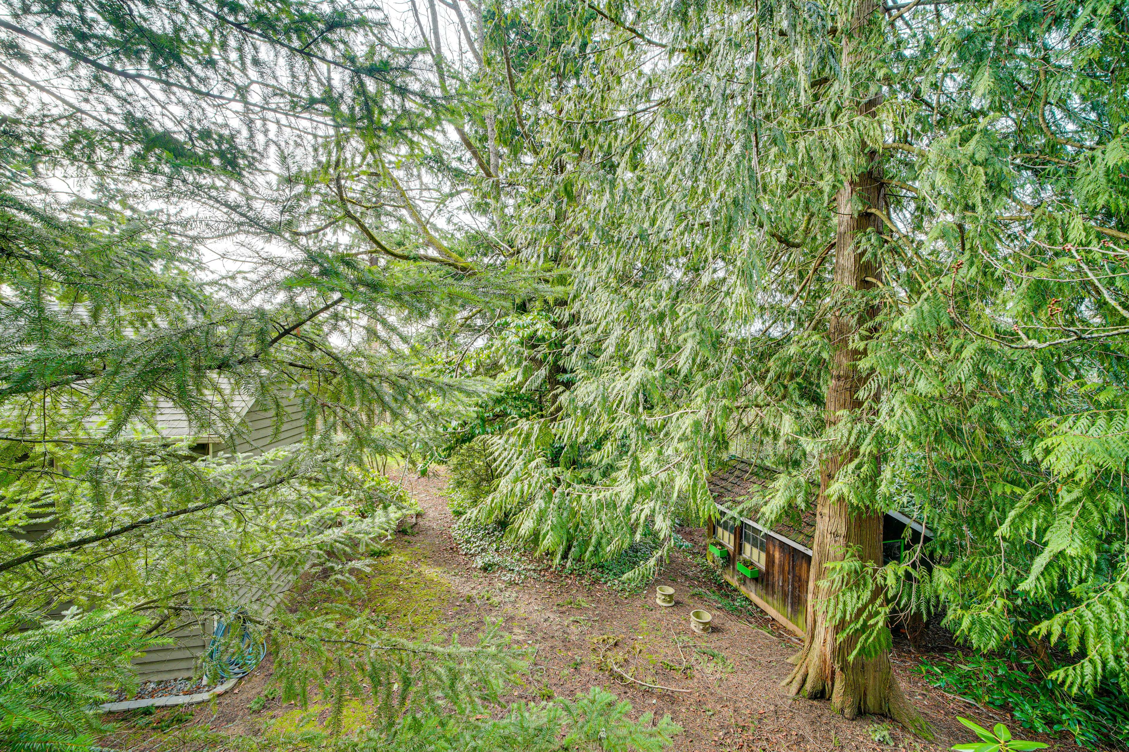 Studio Exterior | Deck View