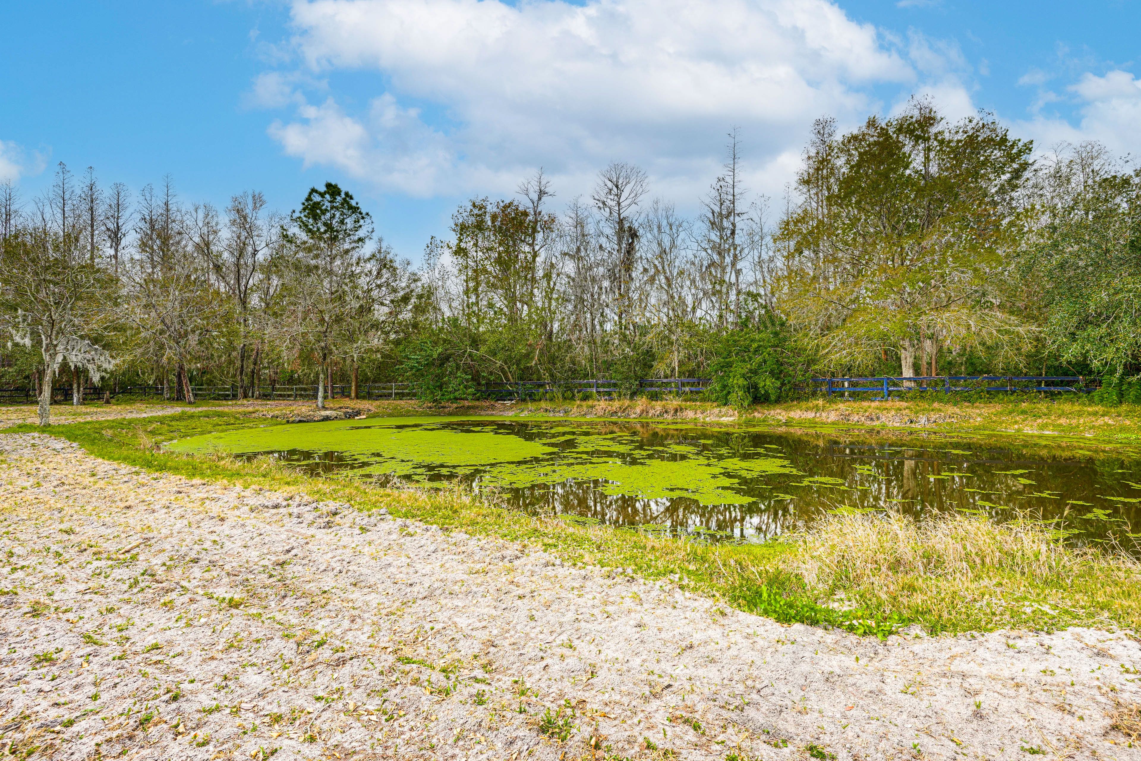 Pond Views