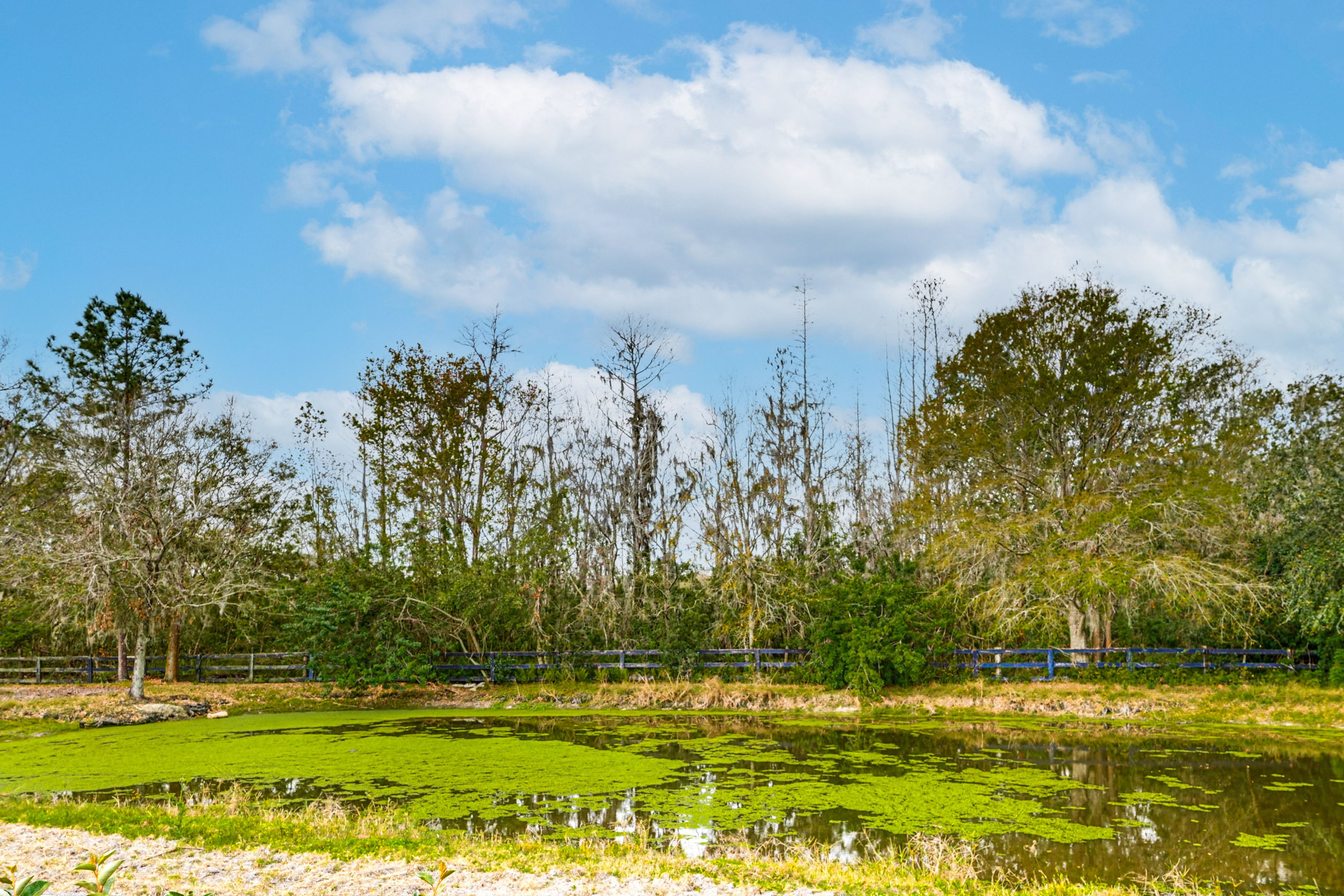 Pond Views | Working Horse Farm