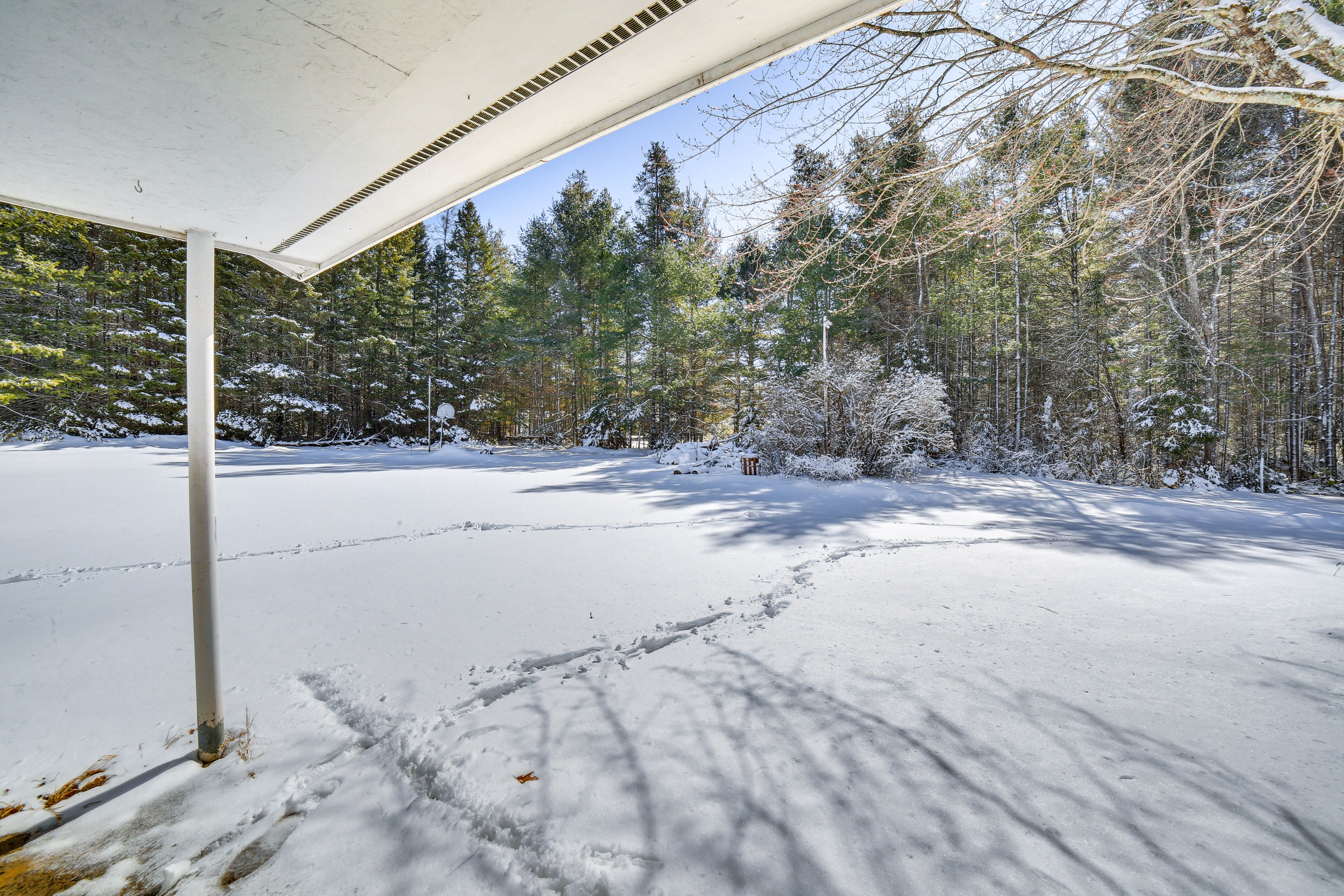 Surrounding Area | 1-Acre Property