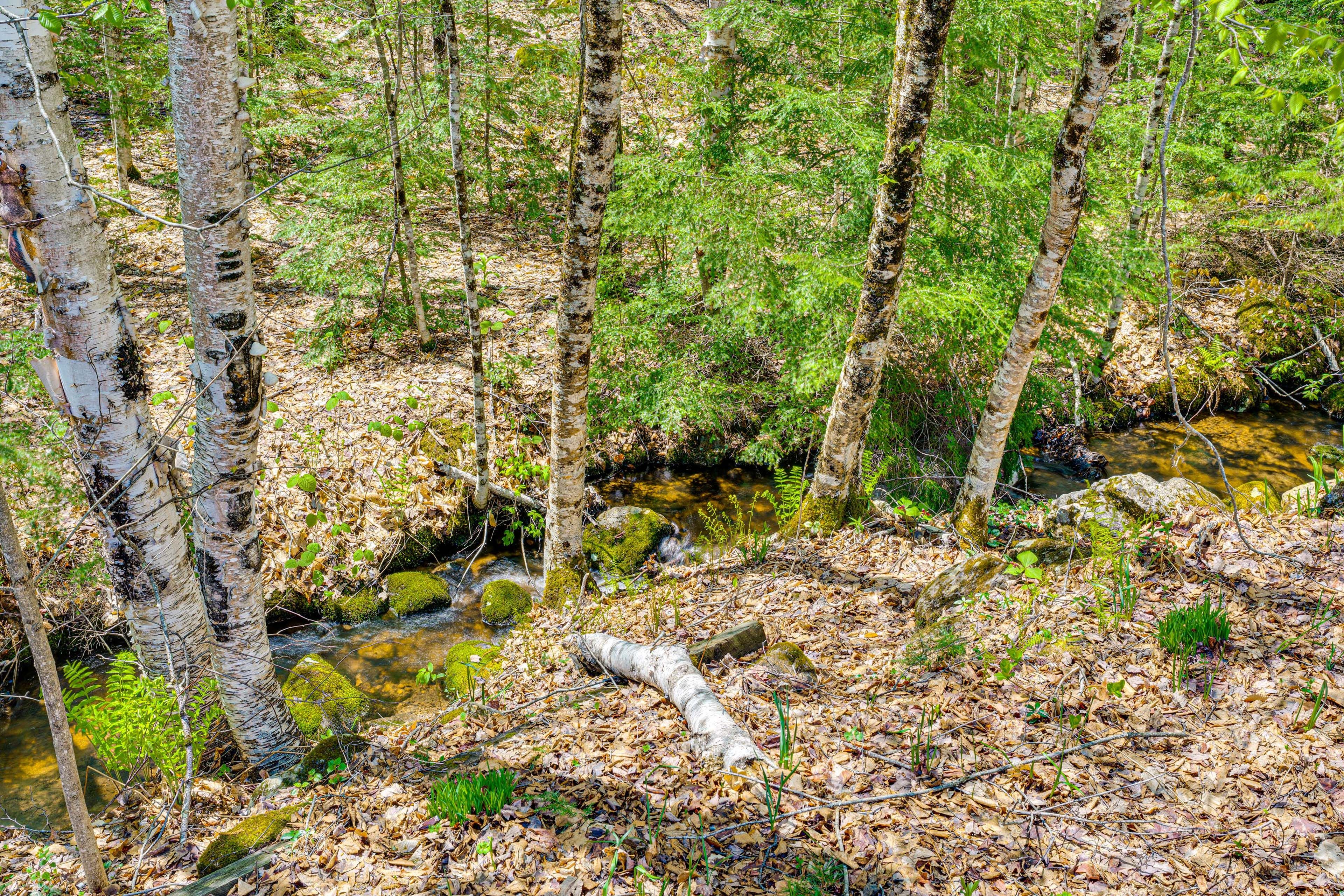 On-Site Creek