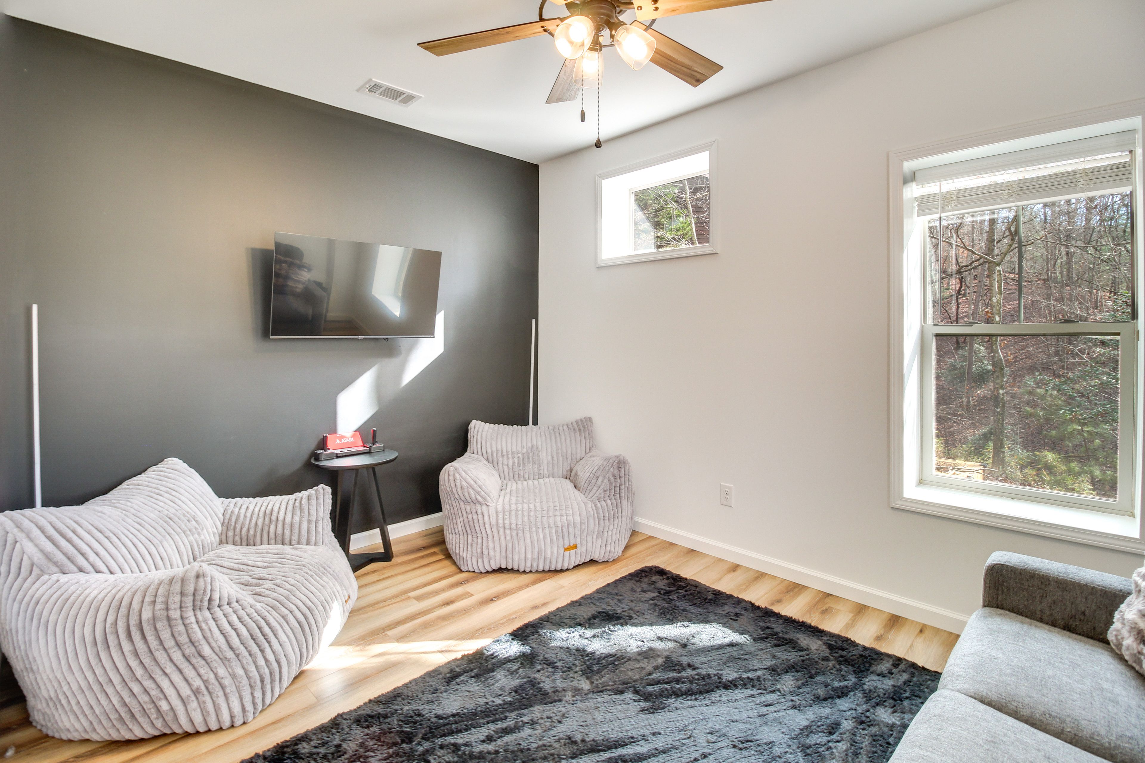 Media Room | Smart TV | Full Sleeper Sofa | Basement