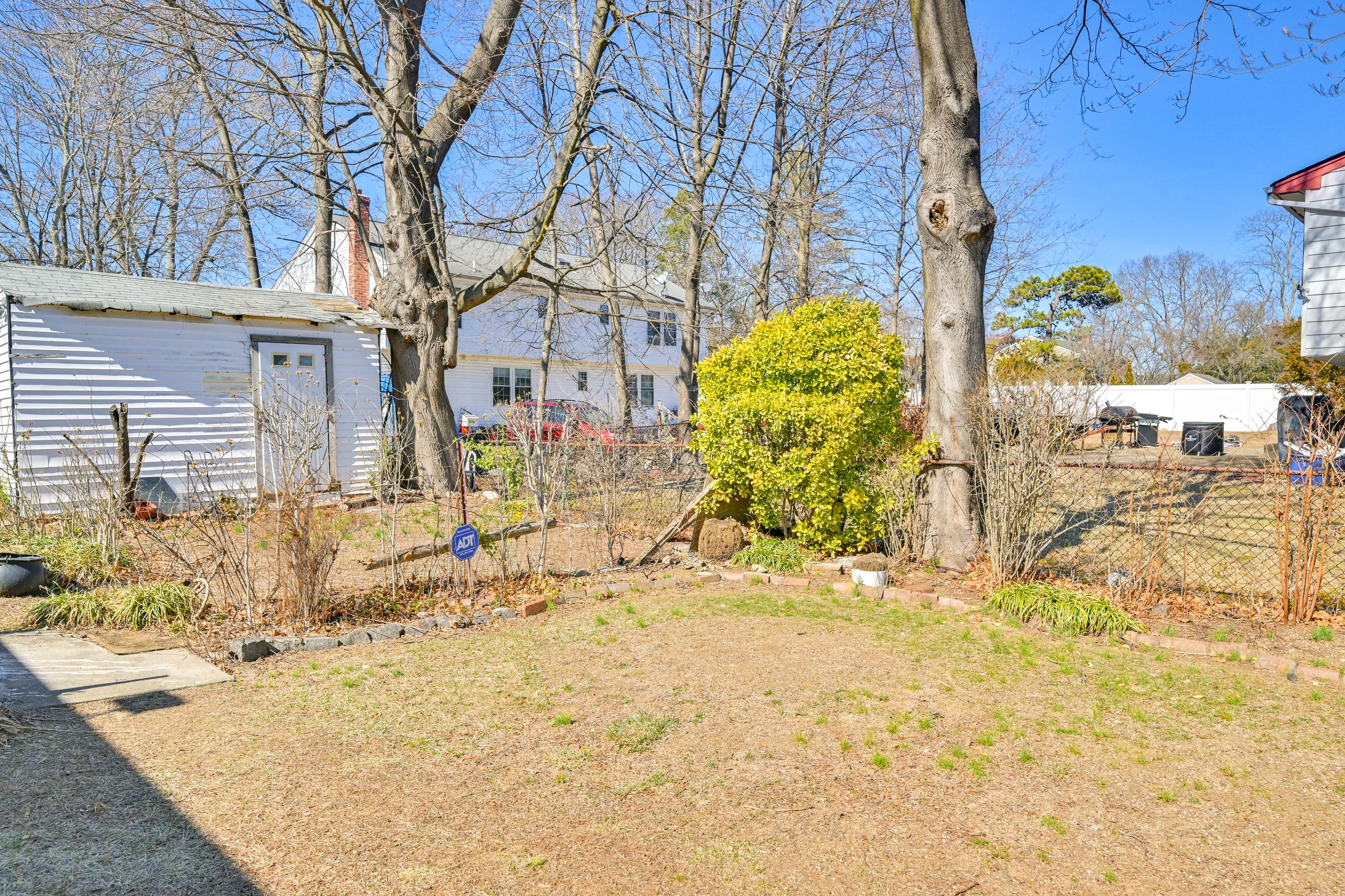 Backyard