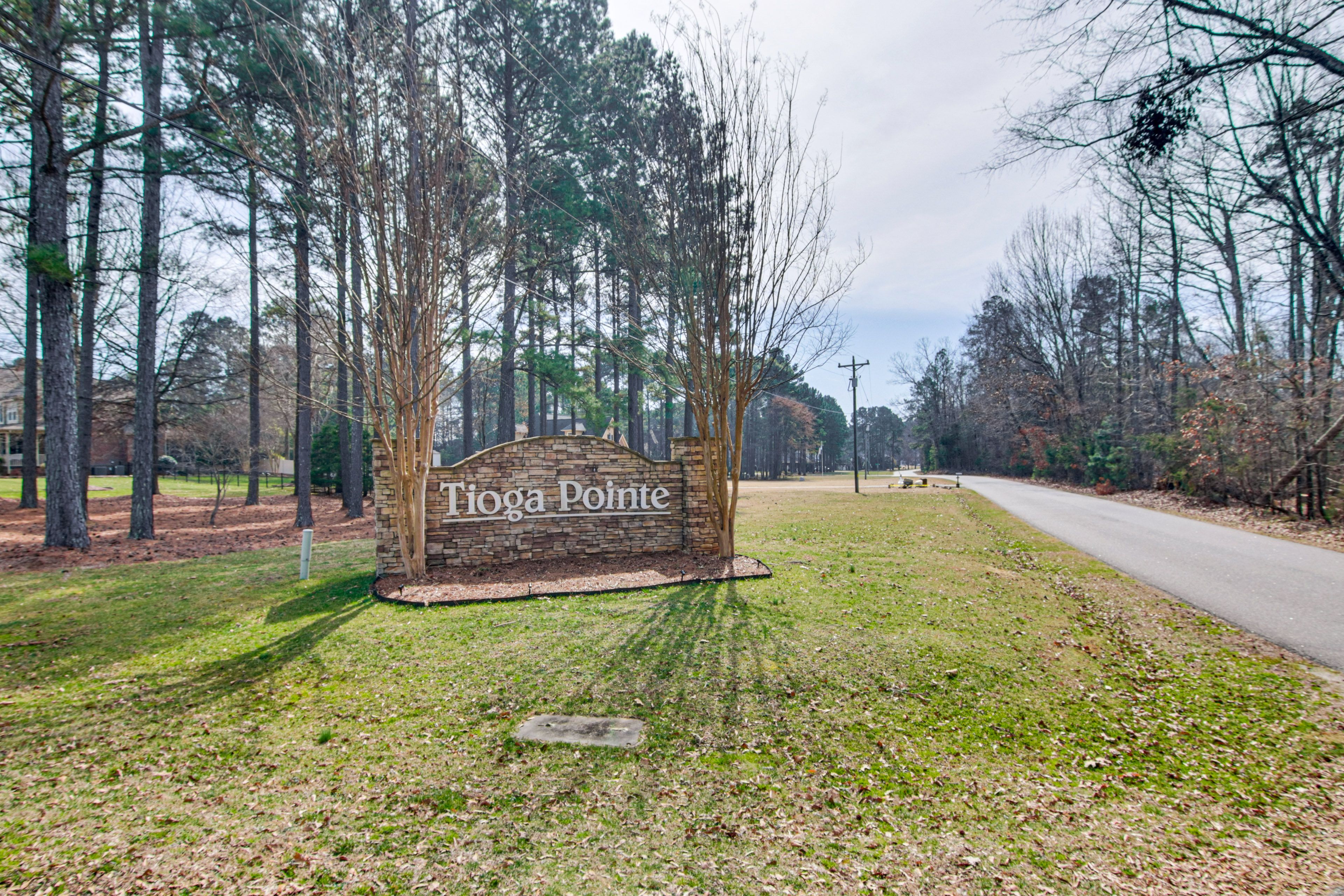 Tioga Pointe Community