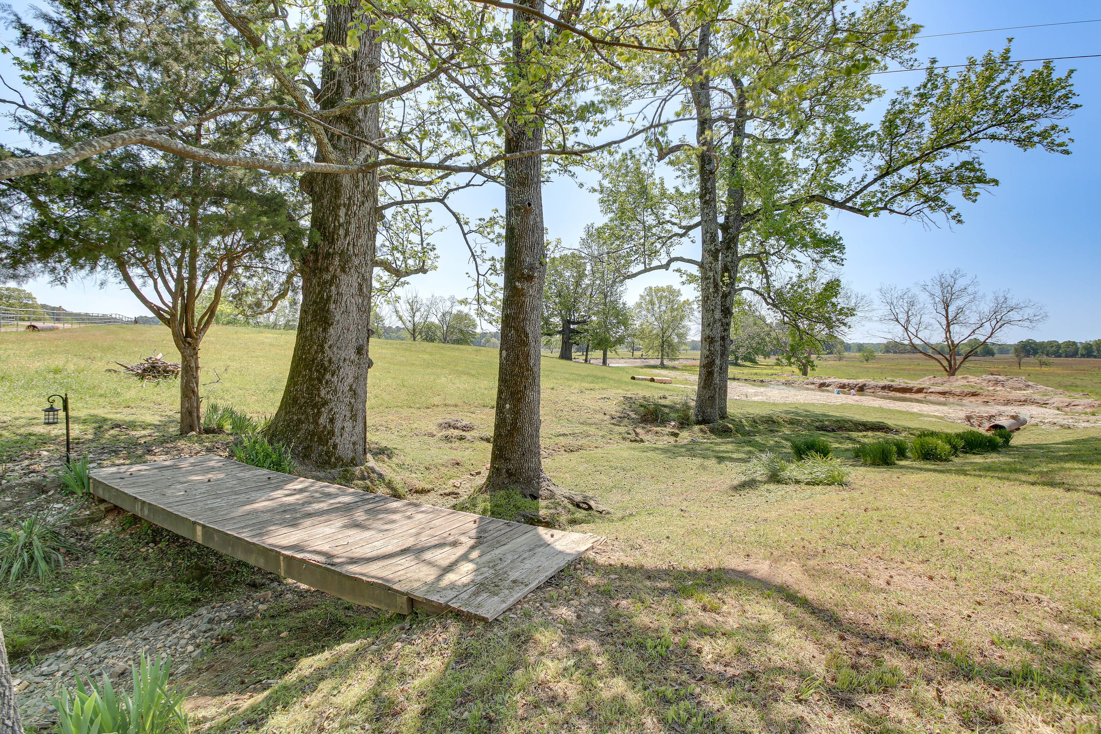 Cattle Farm On-Site | Shared Pond Access | Swim Tubes | 1,000-Acre View