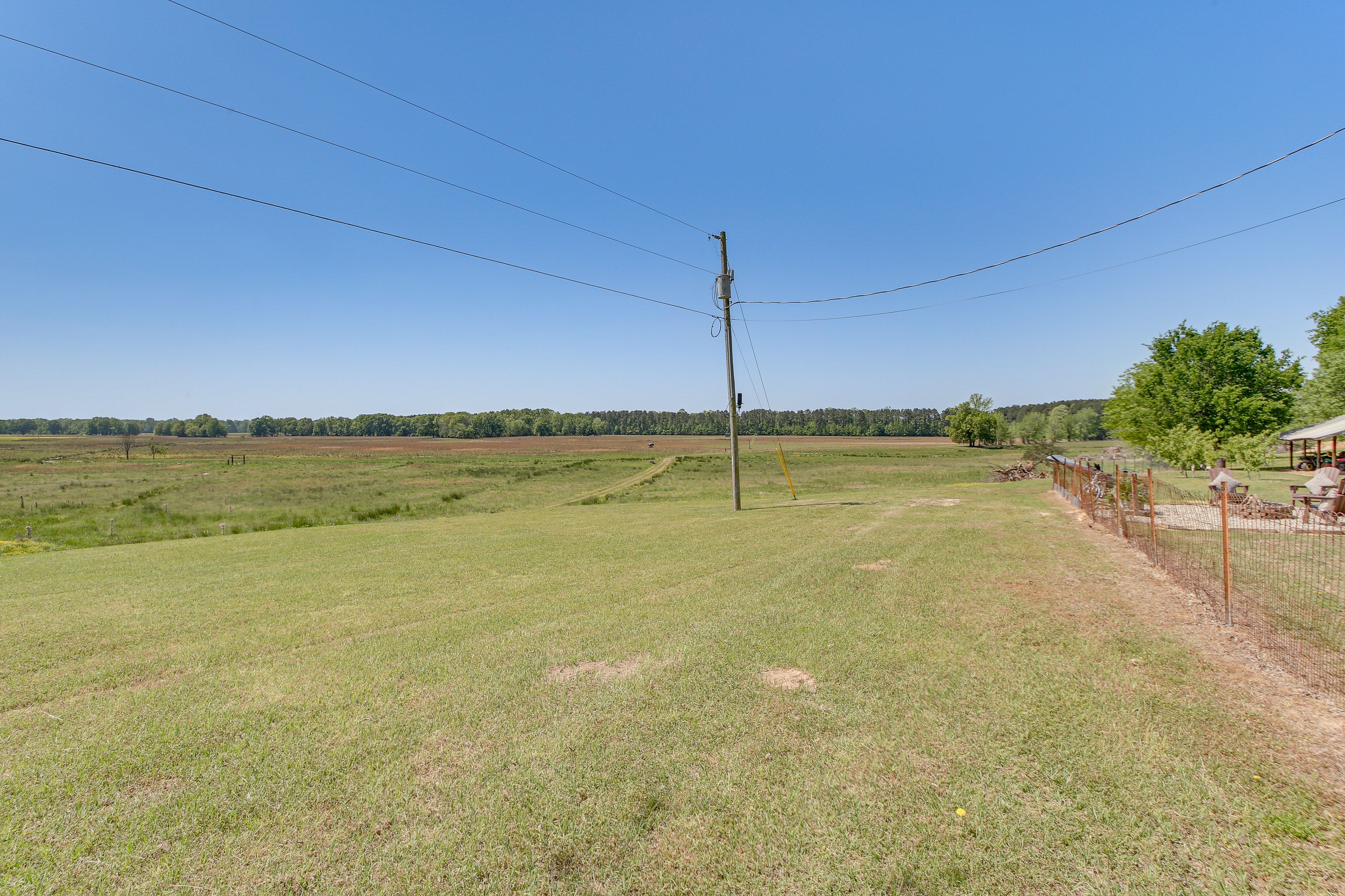 Image 25