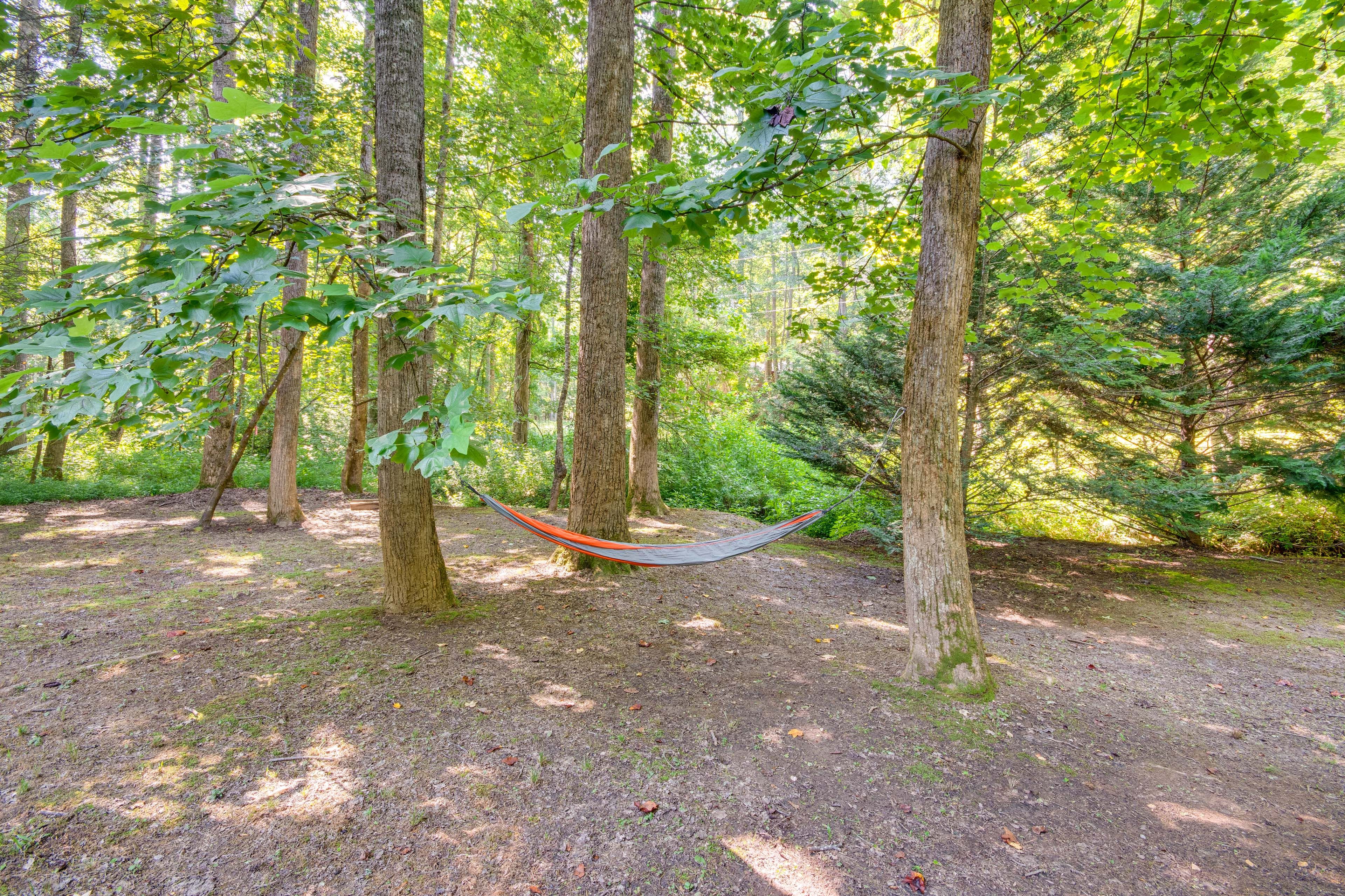 Hammock