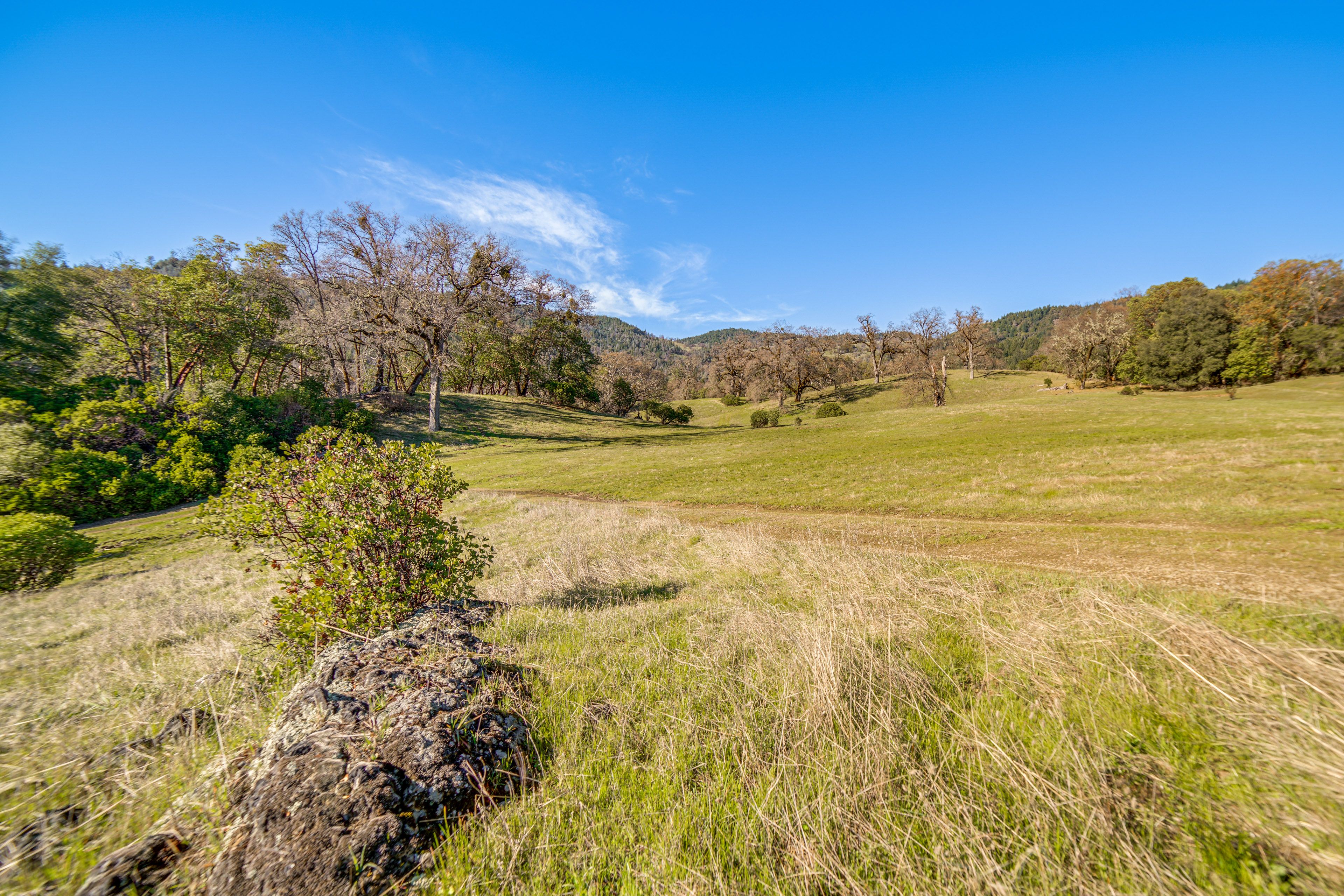 Property Surroundings