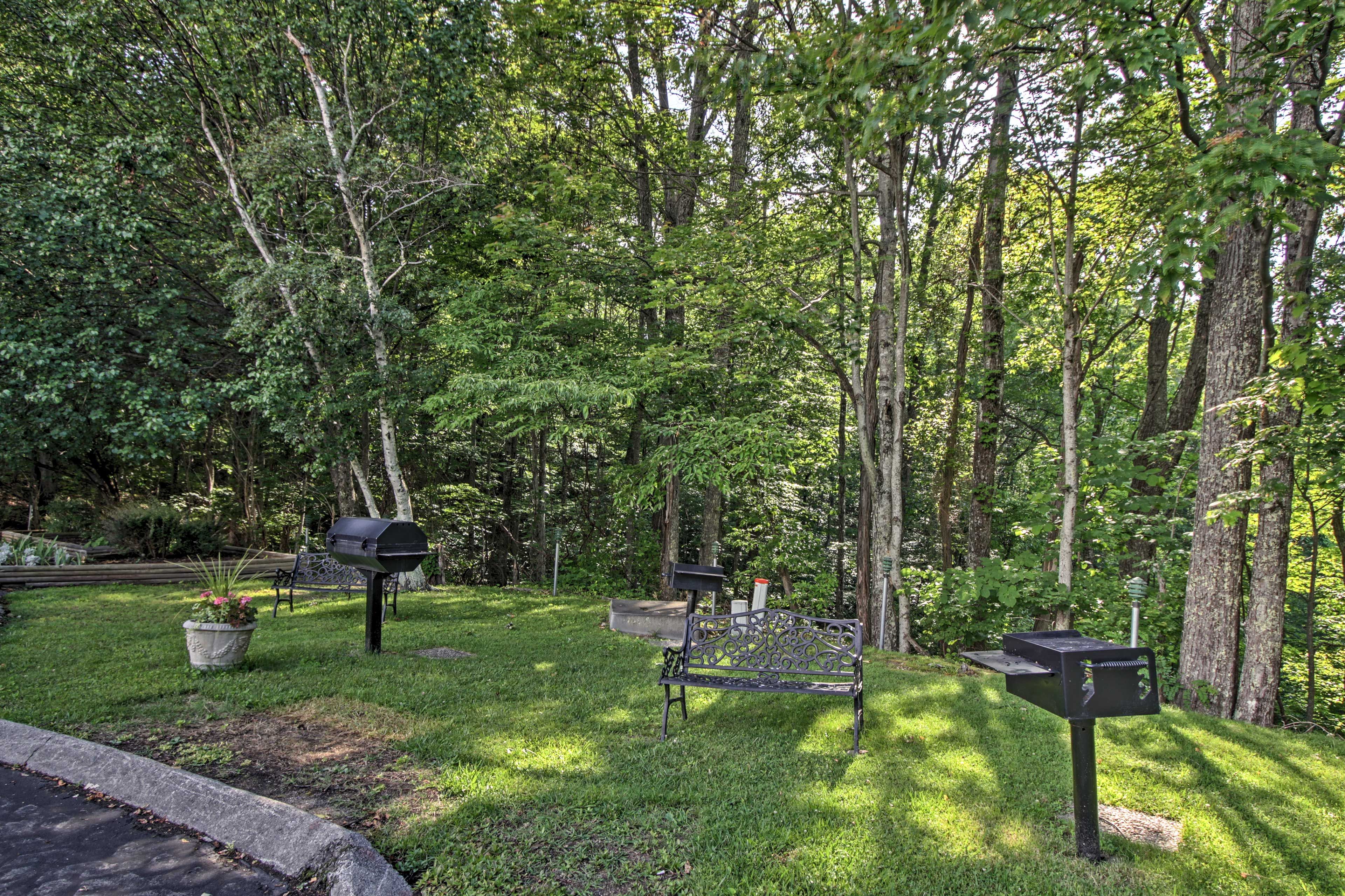 Charcoal Grills | Picnic Area