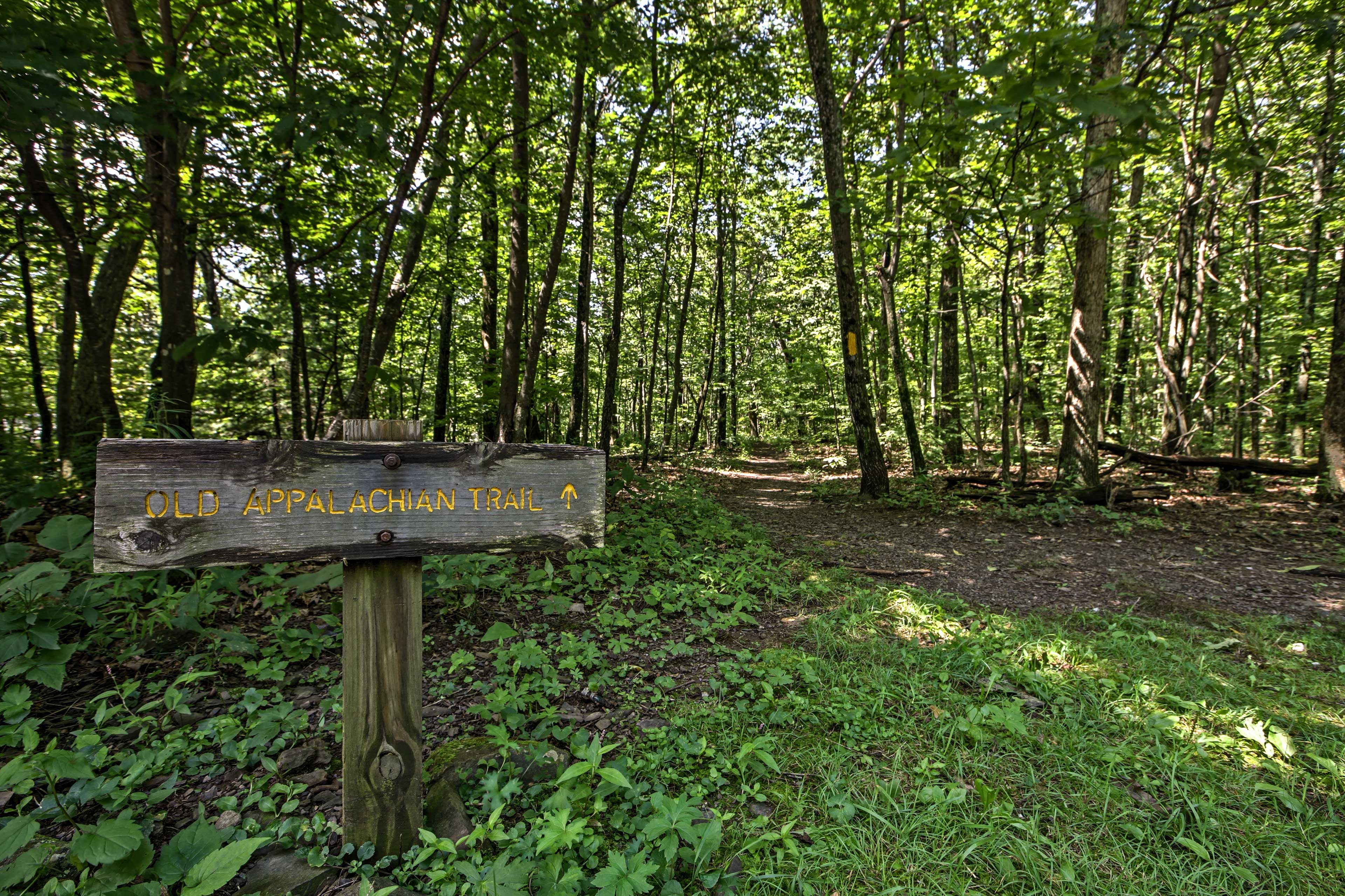 Hiking Trails