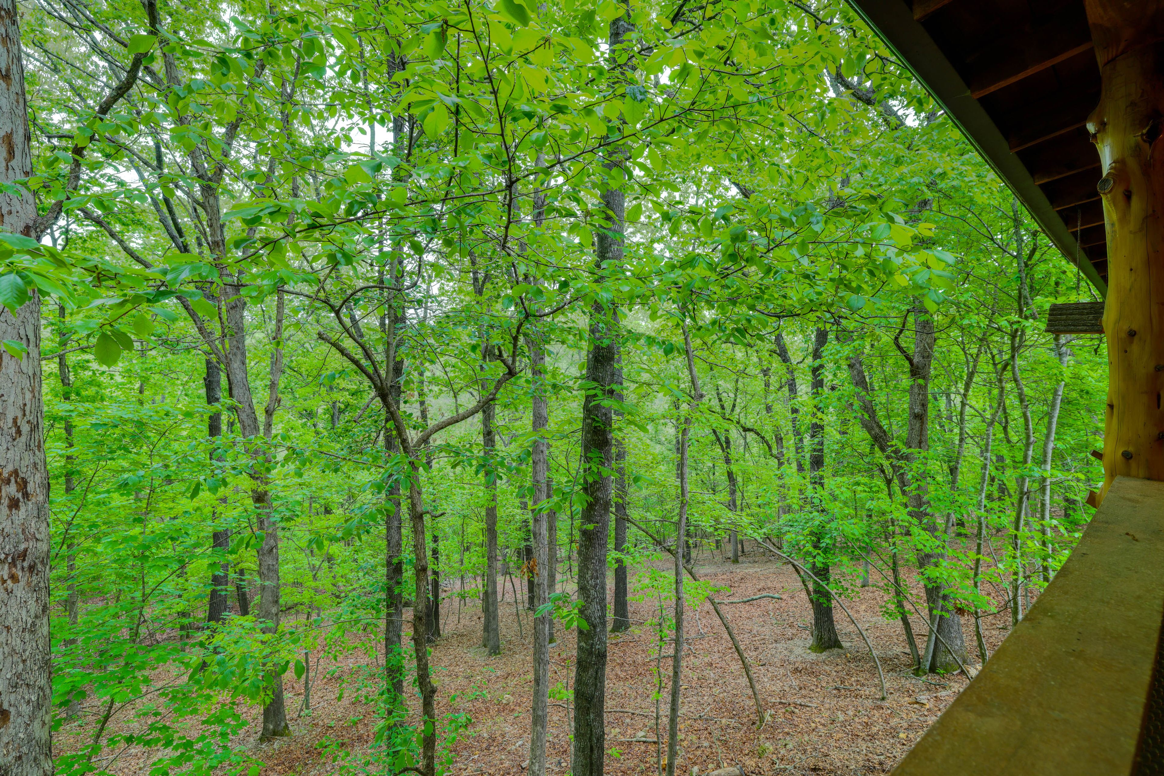 Covered Deck | 1st Floor | Dining Area | Forest Views